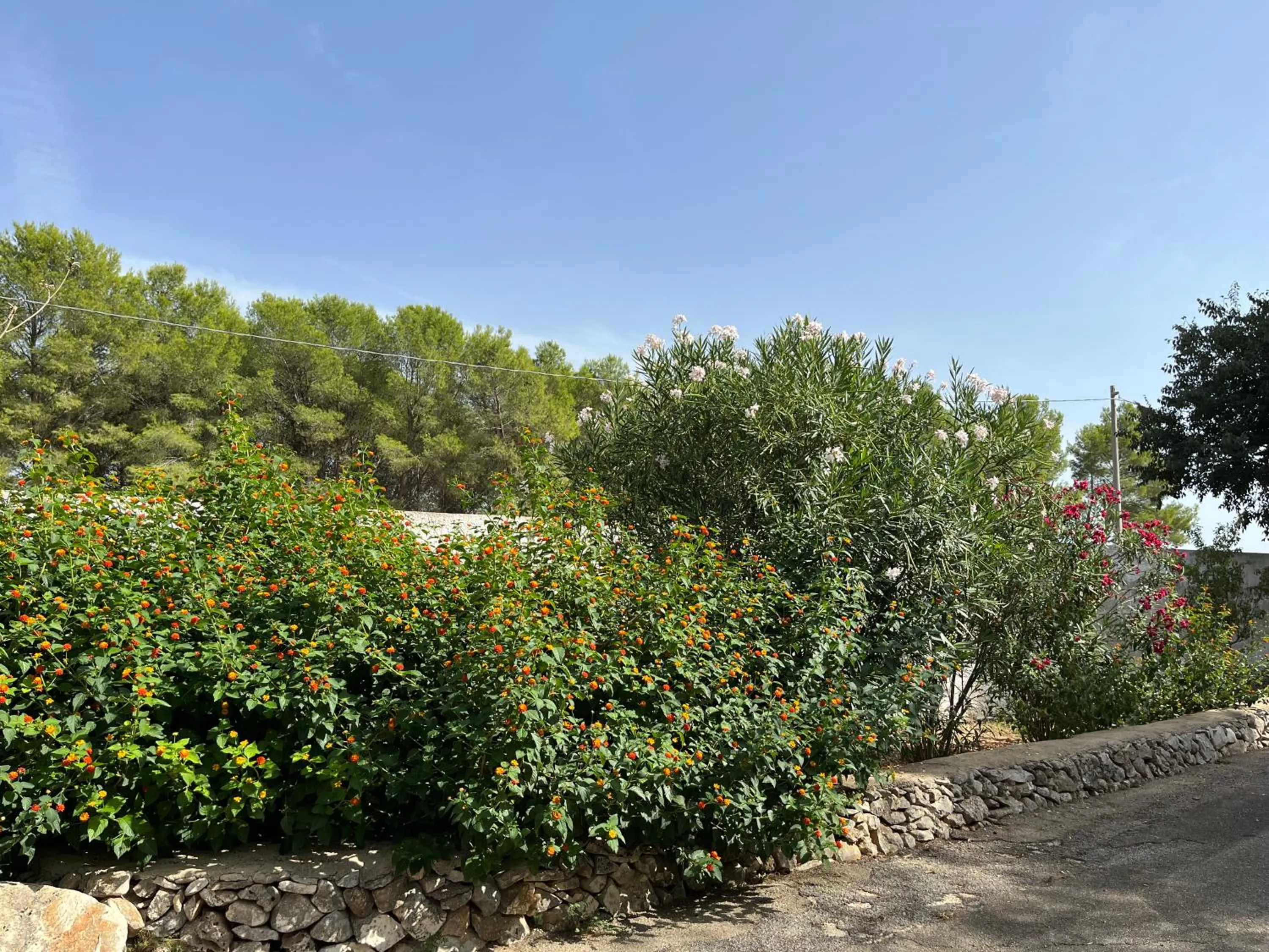 Garden in Masseria La Camardia