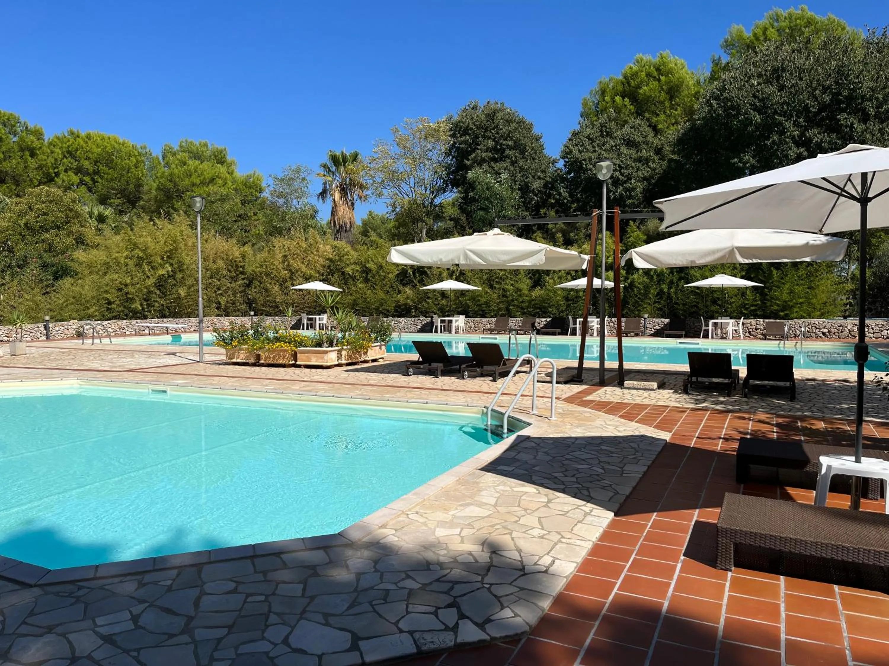 Swimming pool in Masseria La Camardia