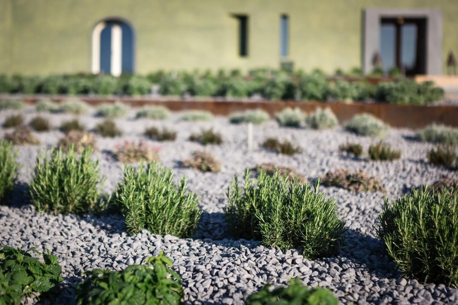 Garden in Locanda La Raia