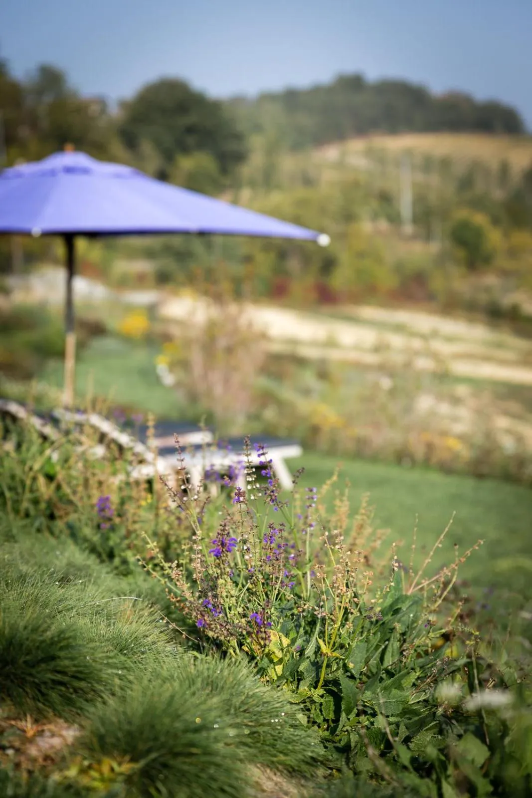 Garden in Locanda La Raia