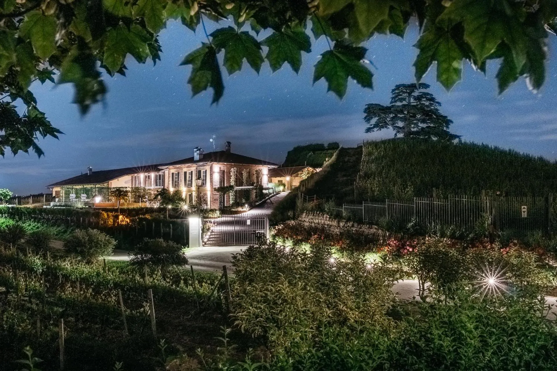 Agrisuite Il Cedro