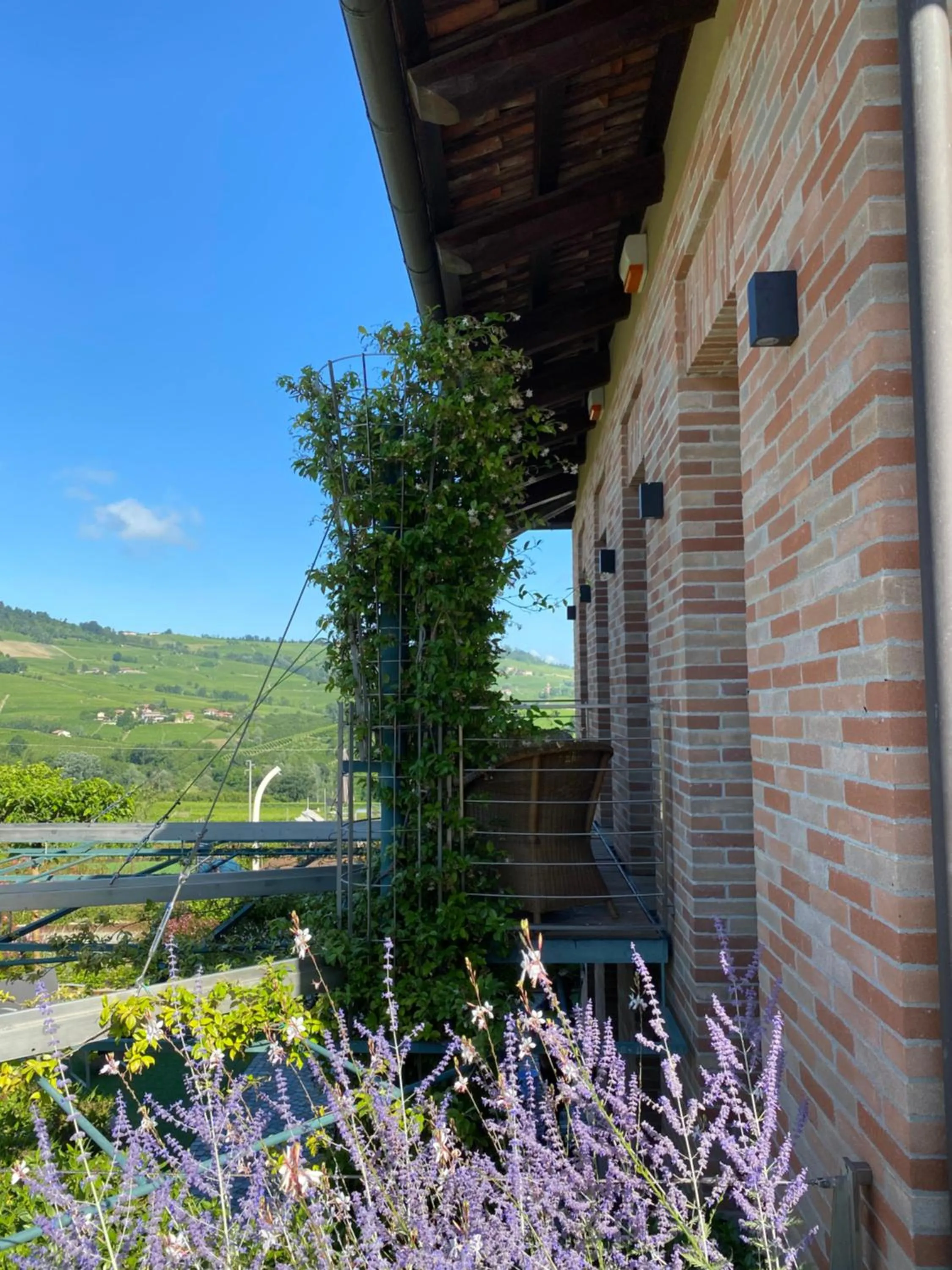 Agrisuite Il Cedro