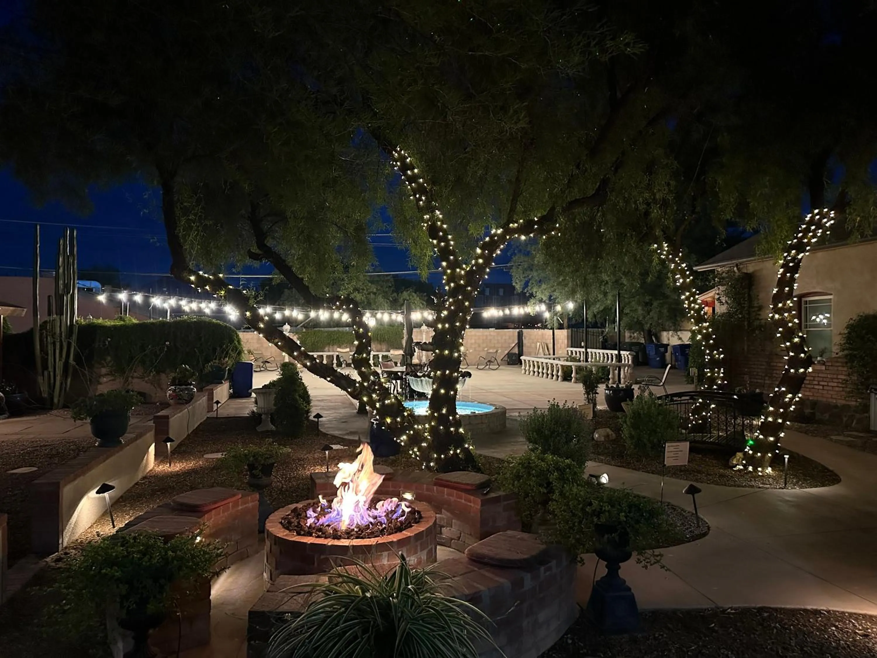 Garden view in El Amador Inn Downtown Tucson