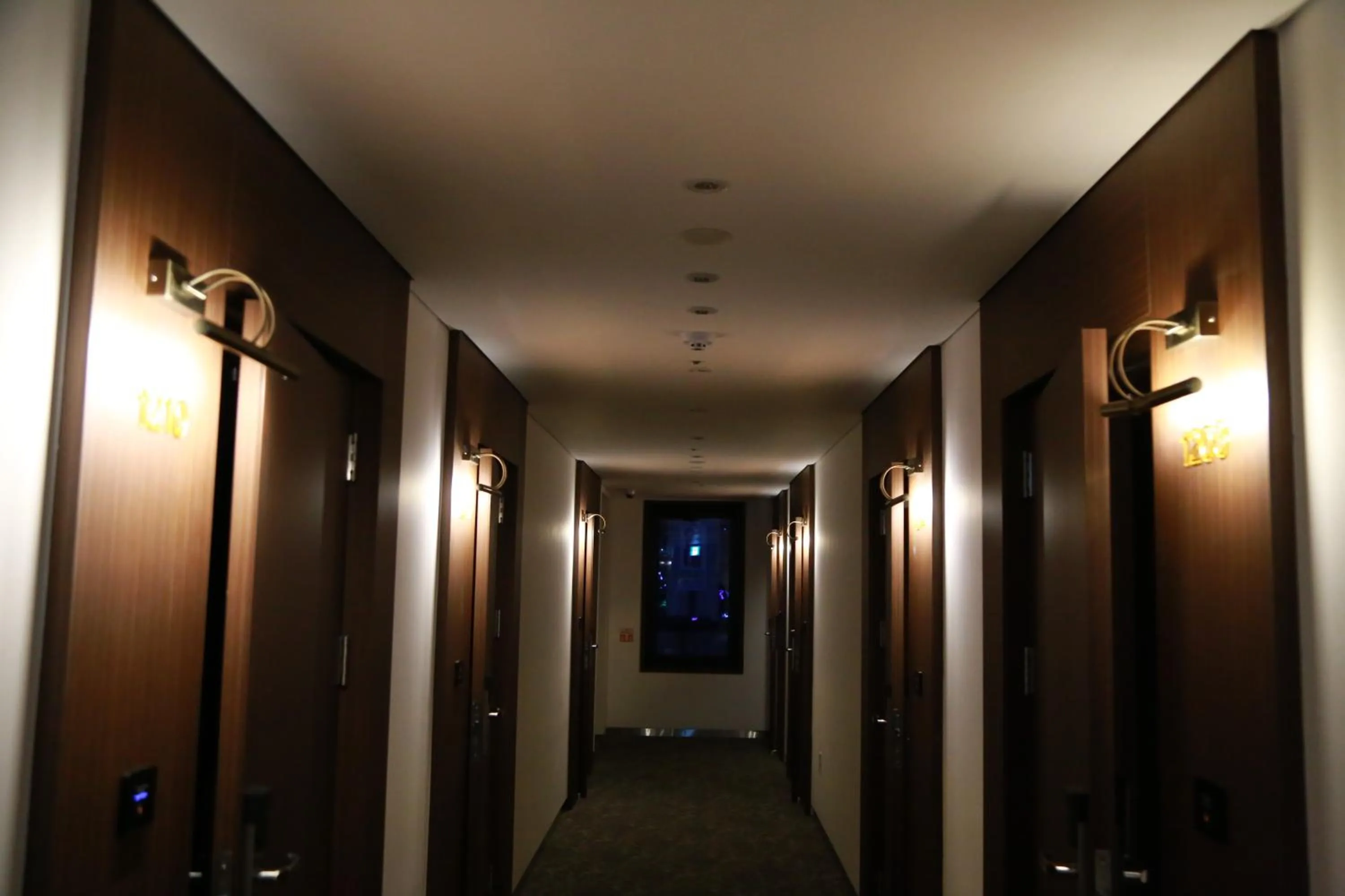 Area and facilities in Vella Suite Hotel