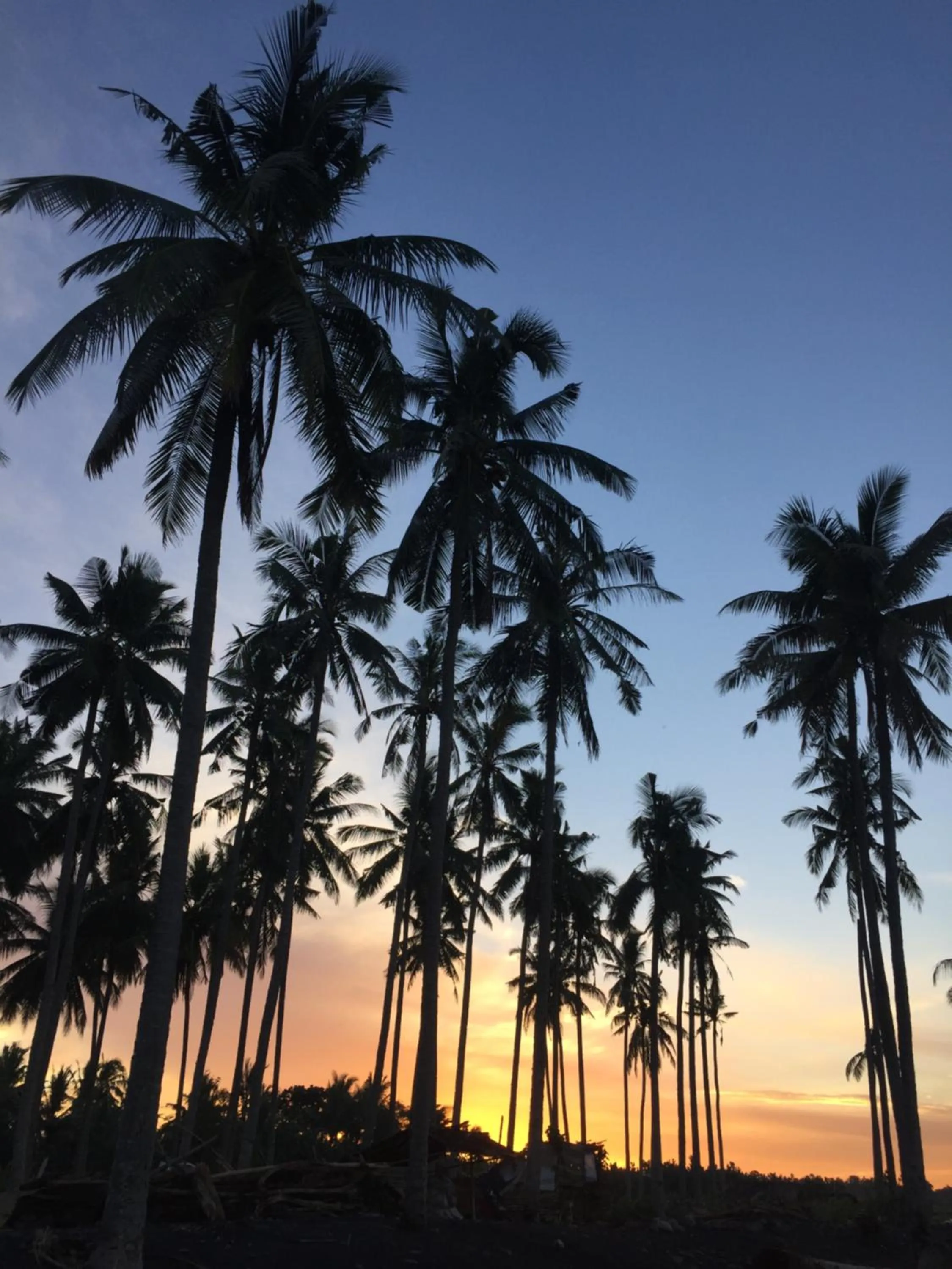 Photo of the whole room in Medewi Secret SurfCamp