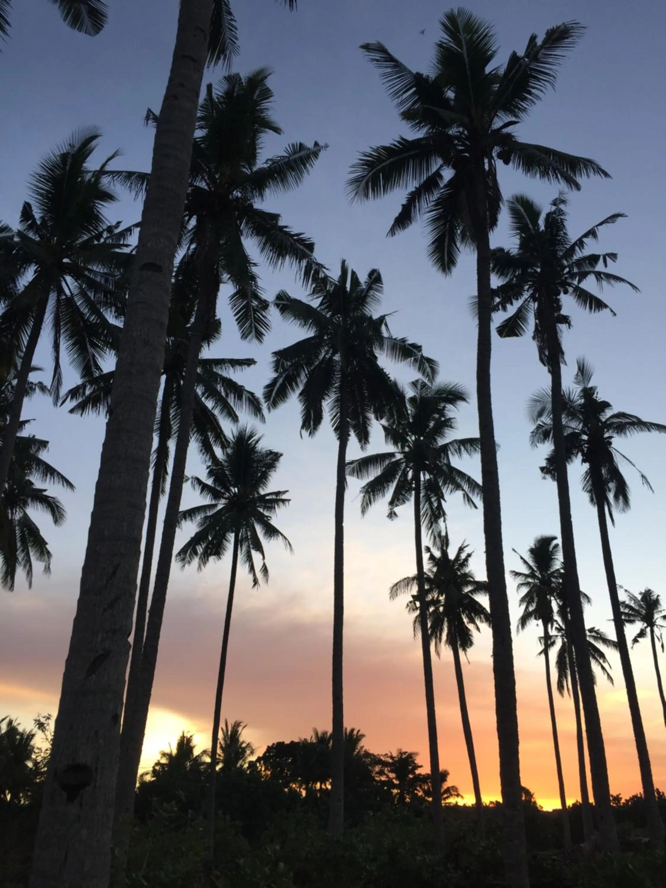 Summer in Medewi Secret SurfCamp