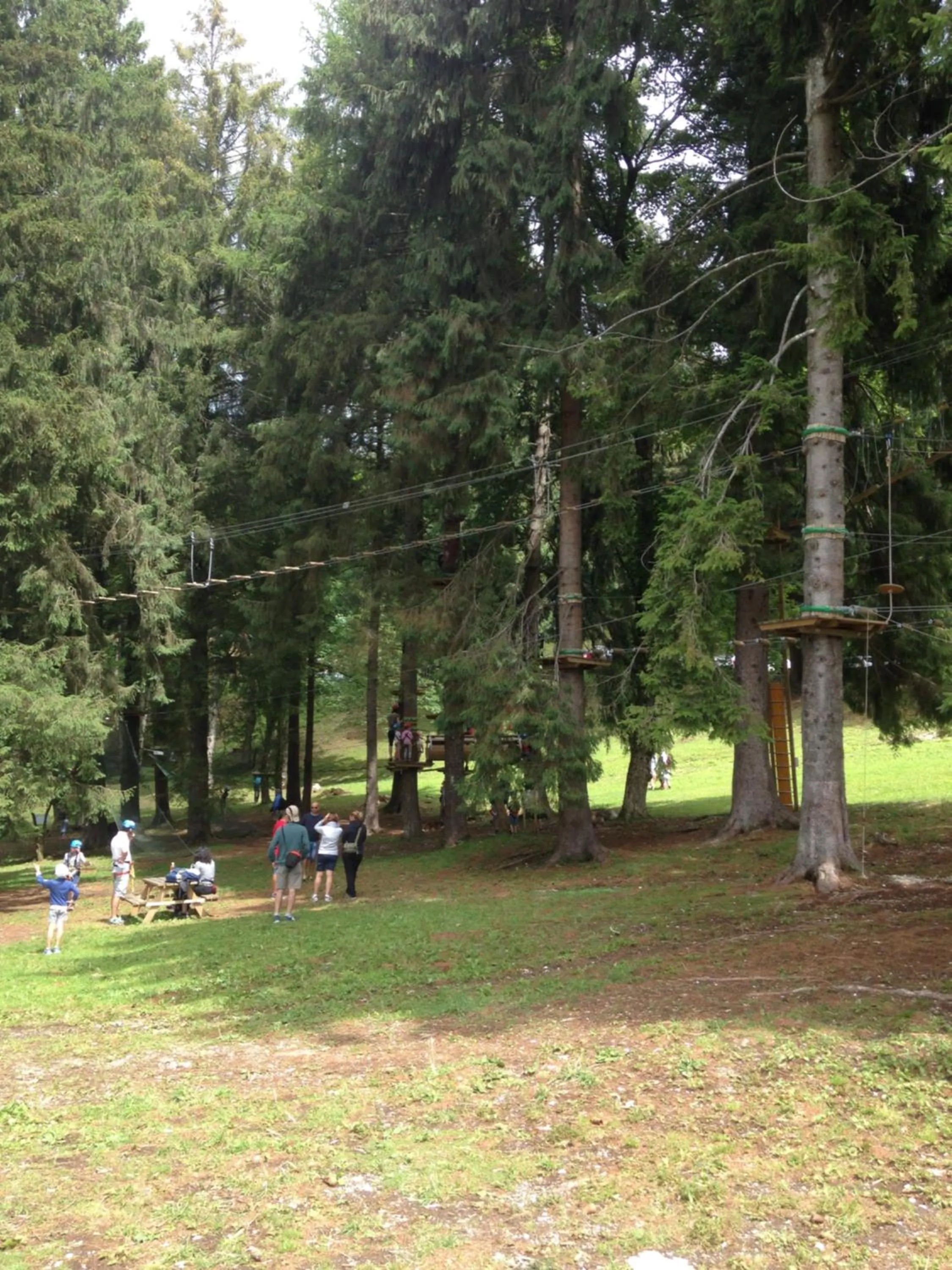 B&B Zanin di Zanin Mauro