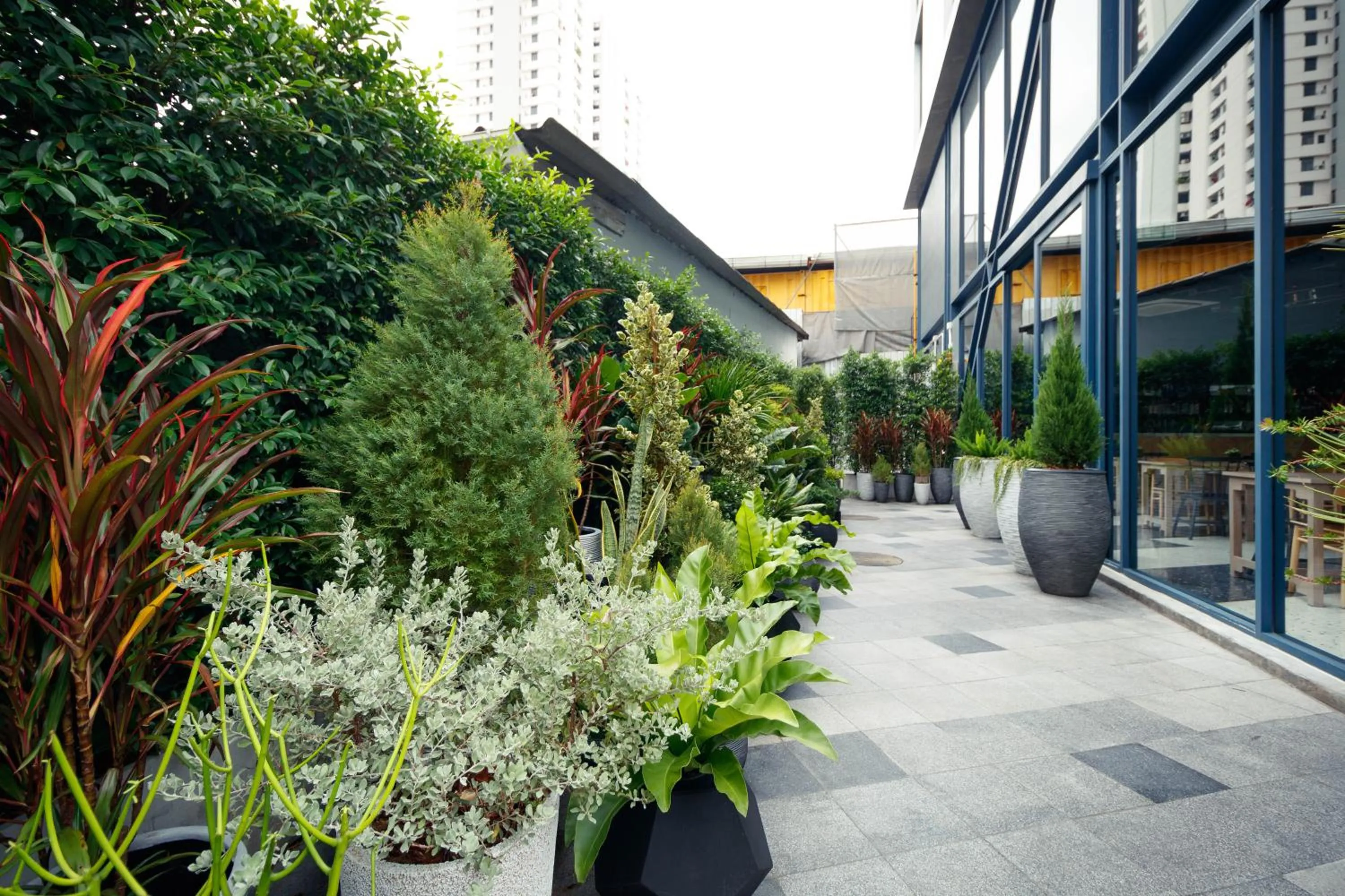 Garden in Klub Hotel Bangkok