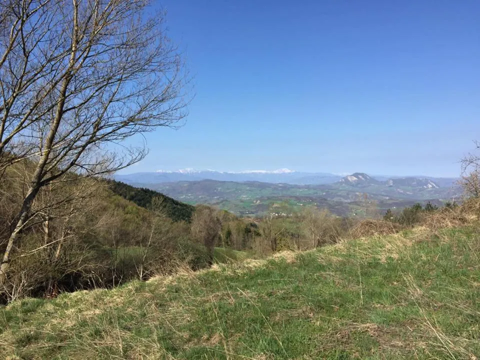 Albergo Ristorante Poli