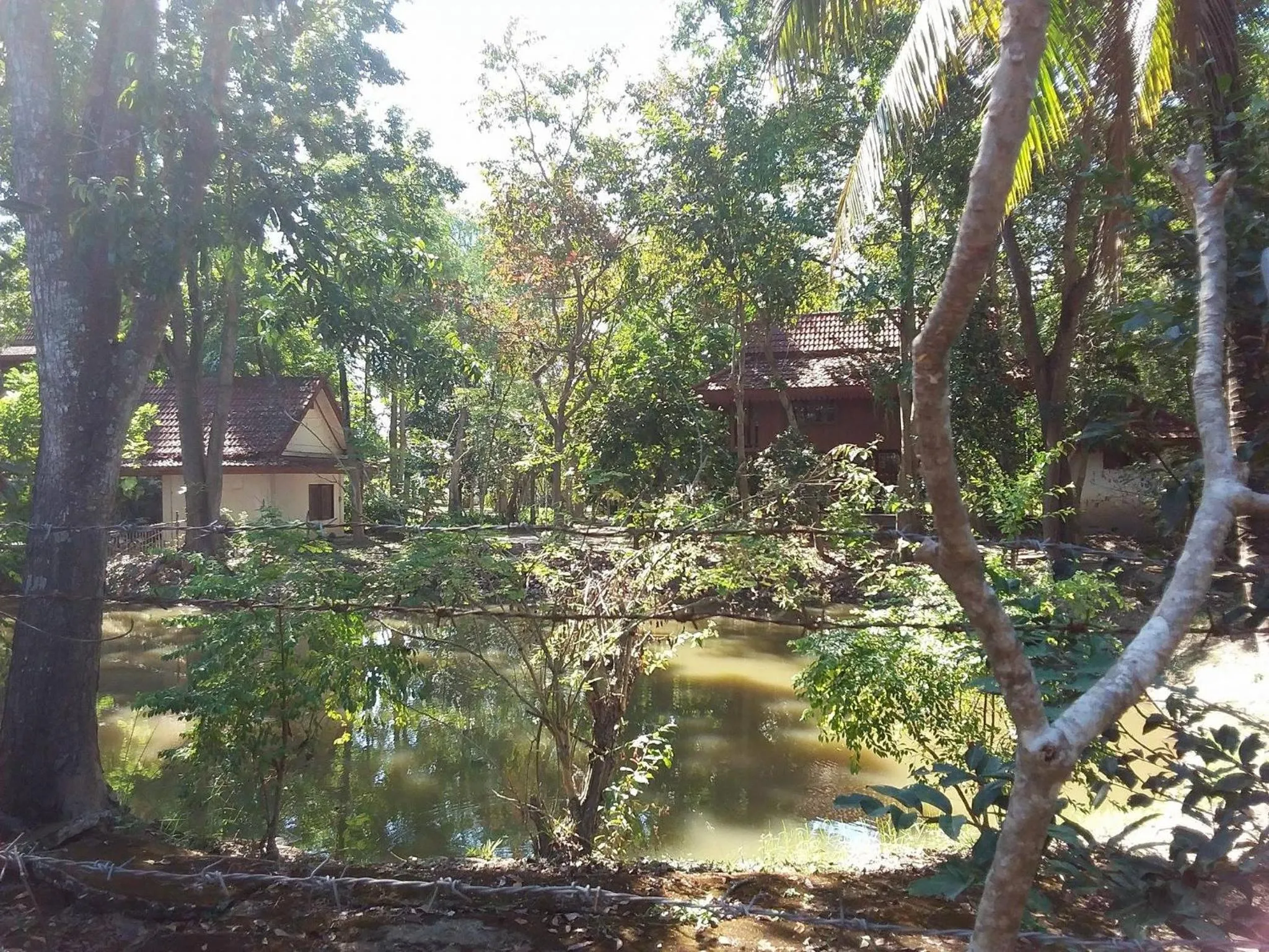 Area and facilities in Your Home in Mae Rim