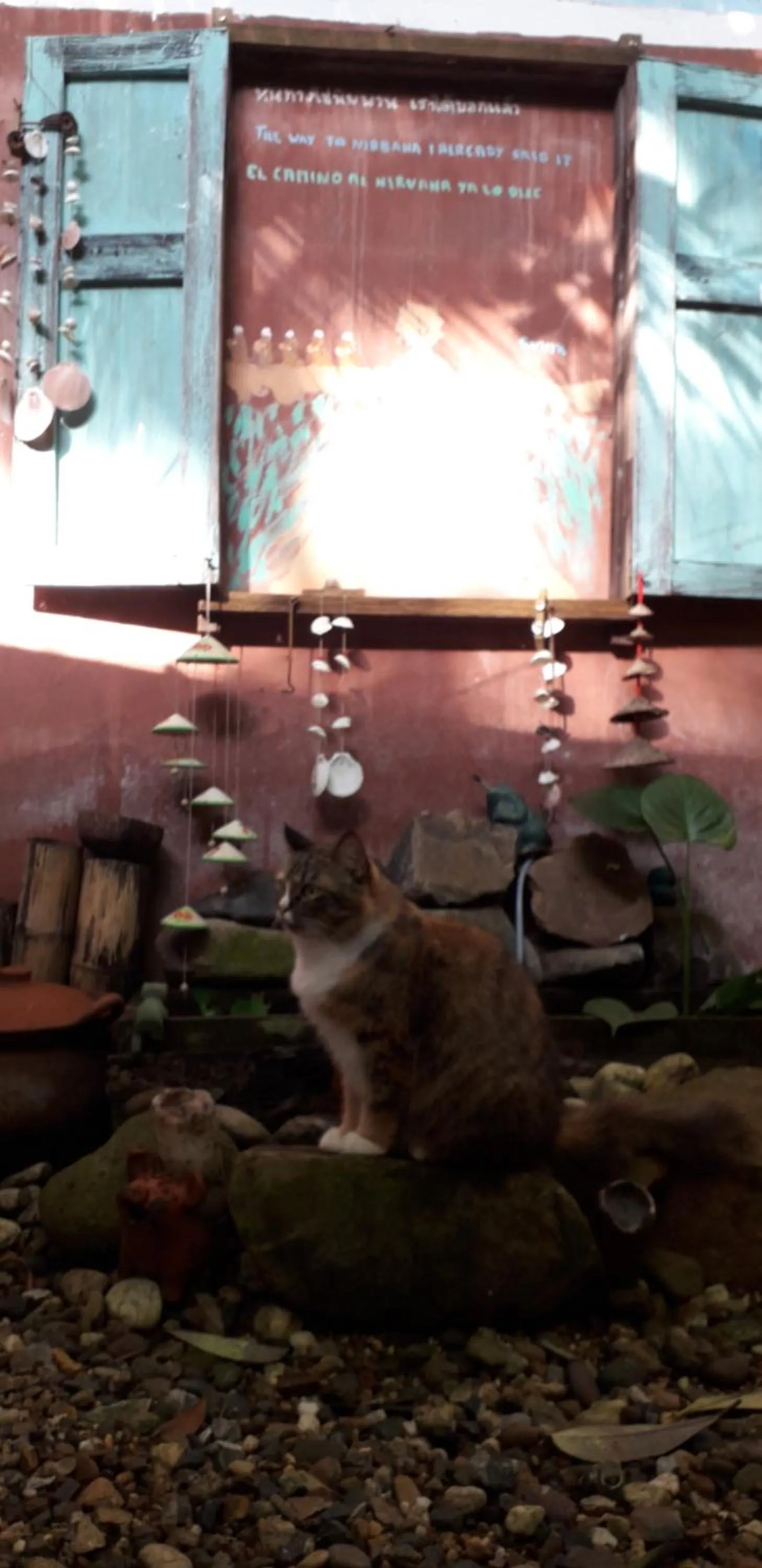 Pets in Your Home in Mae Rim