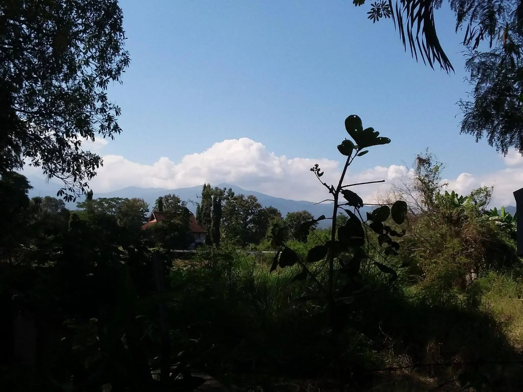 Natural landscape in Your Home in Mae Rim