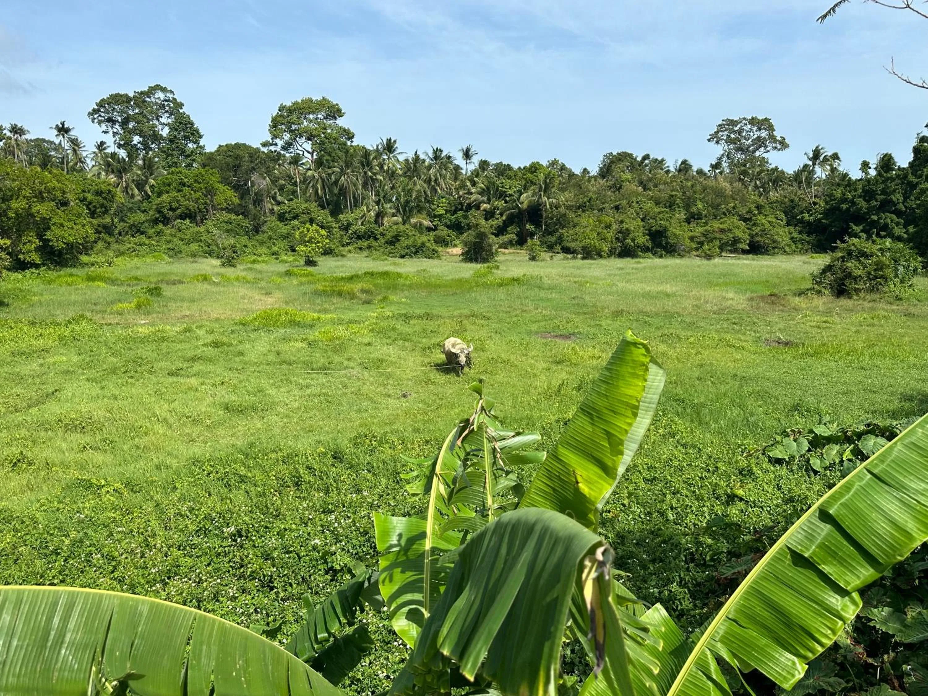 View (from property/room) in Samui Zenity