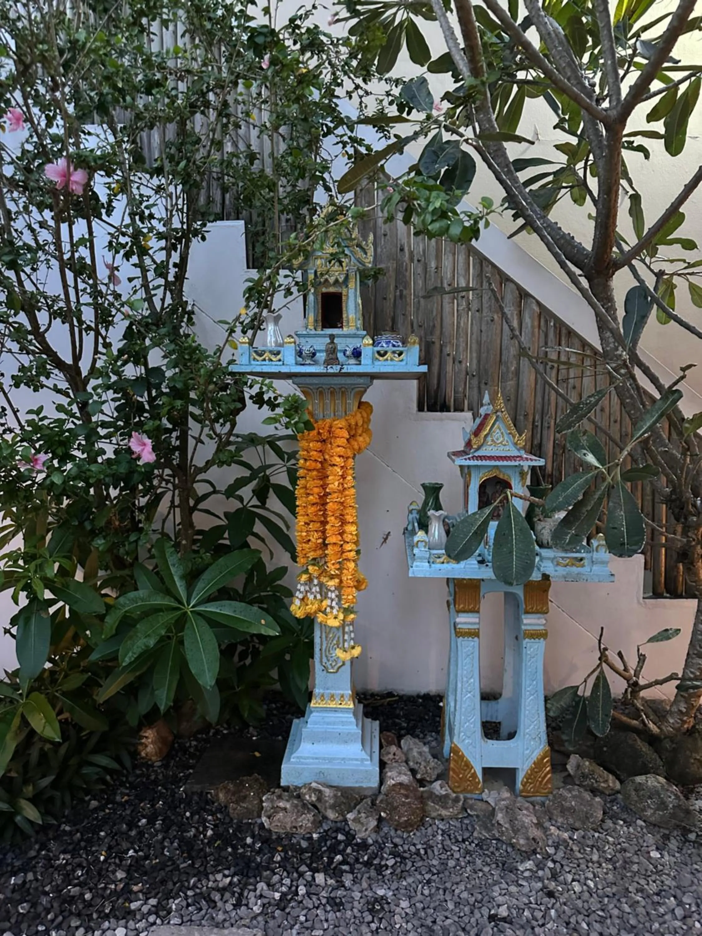 Property building in Samui Zenity