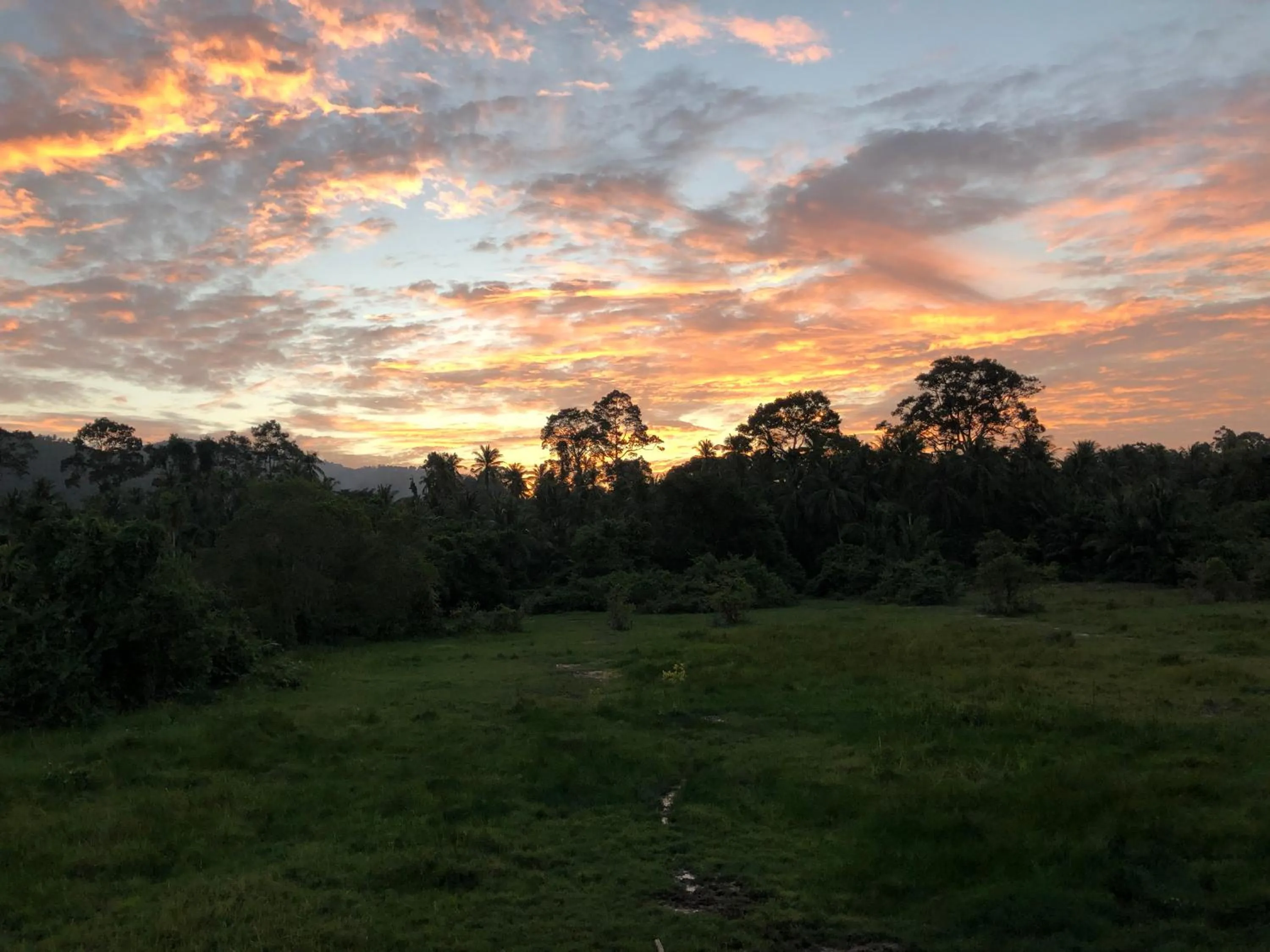 Spring in Samui Zenity