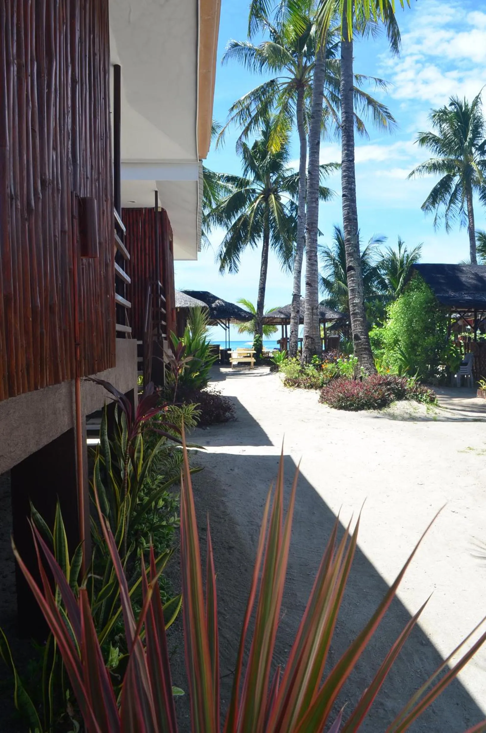 Restaurant/places to eat in Sf Cantina