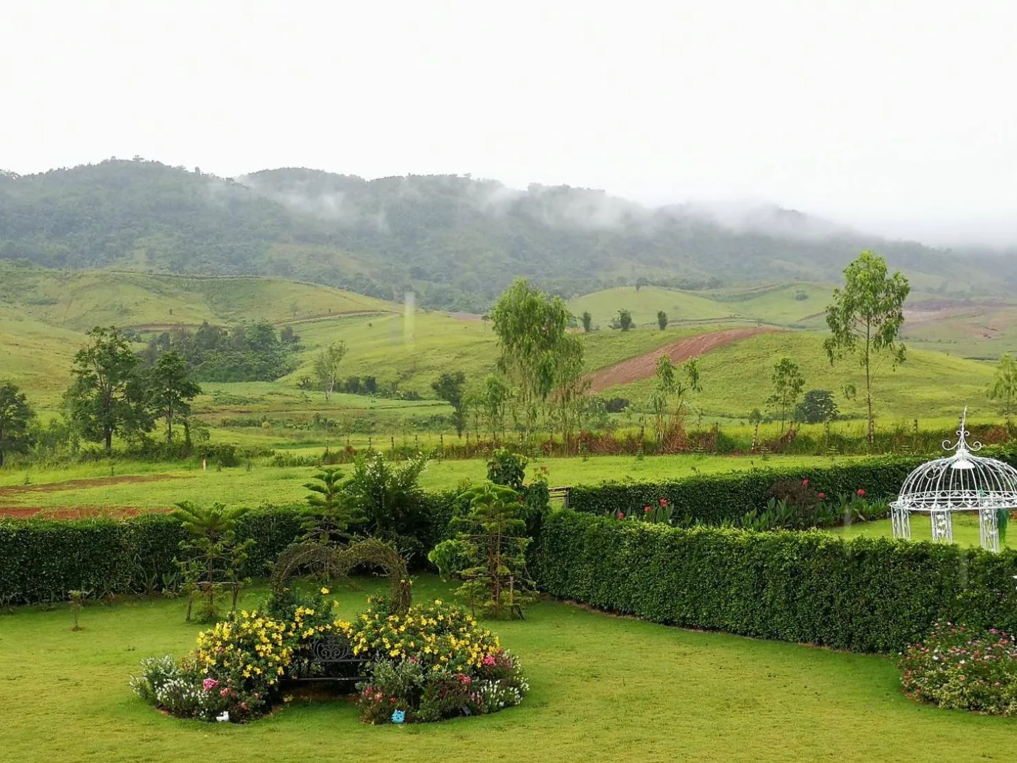 Misty English Cottage