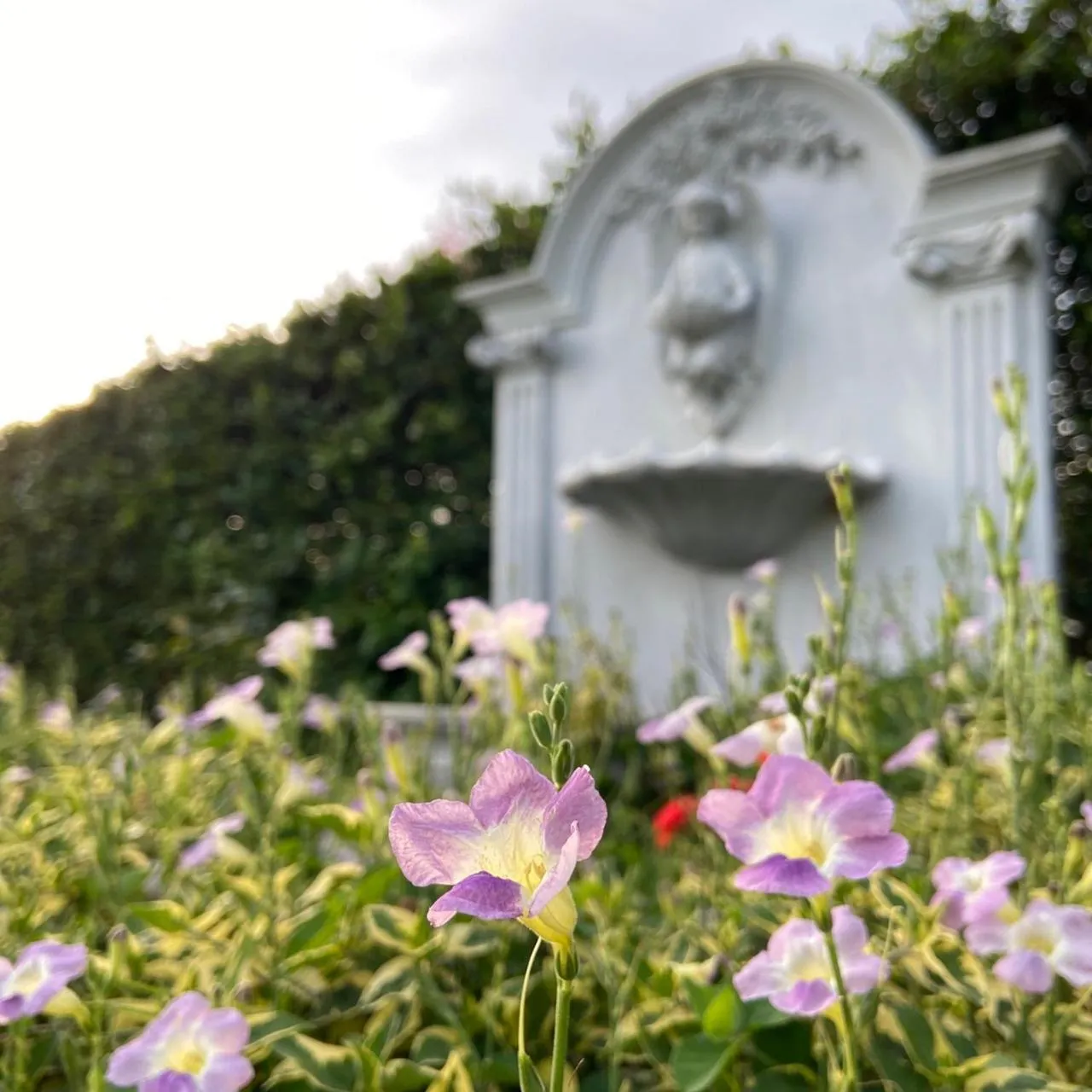 Misty English Cottage
