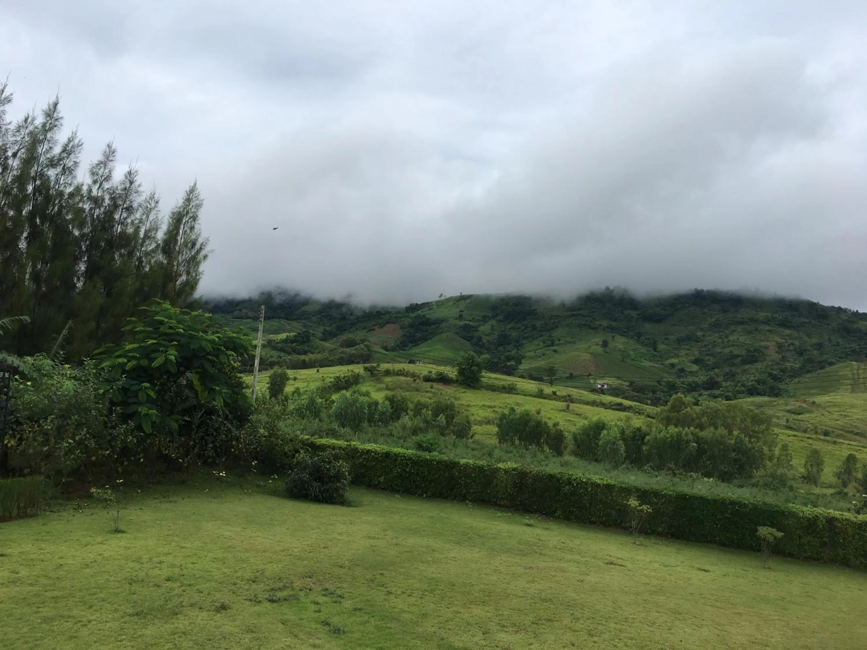 Misty English Cottage