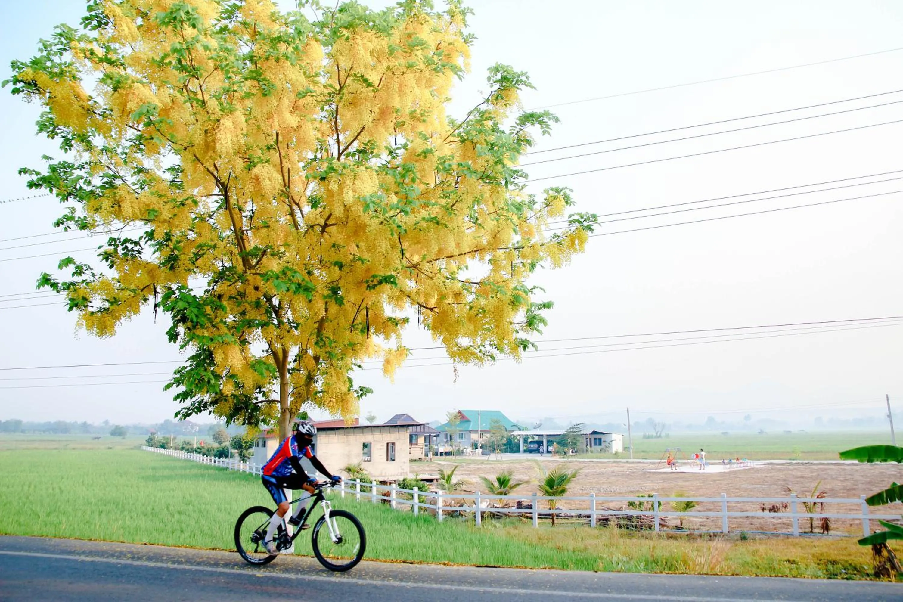 Garden in Santitham Home Farm Stay