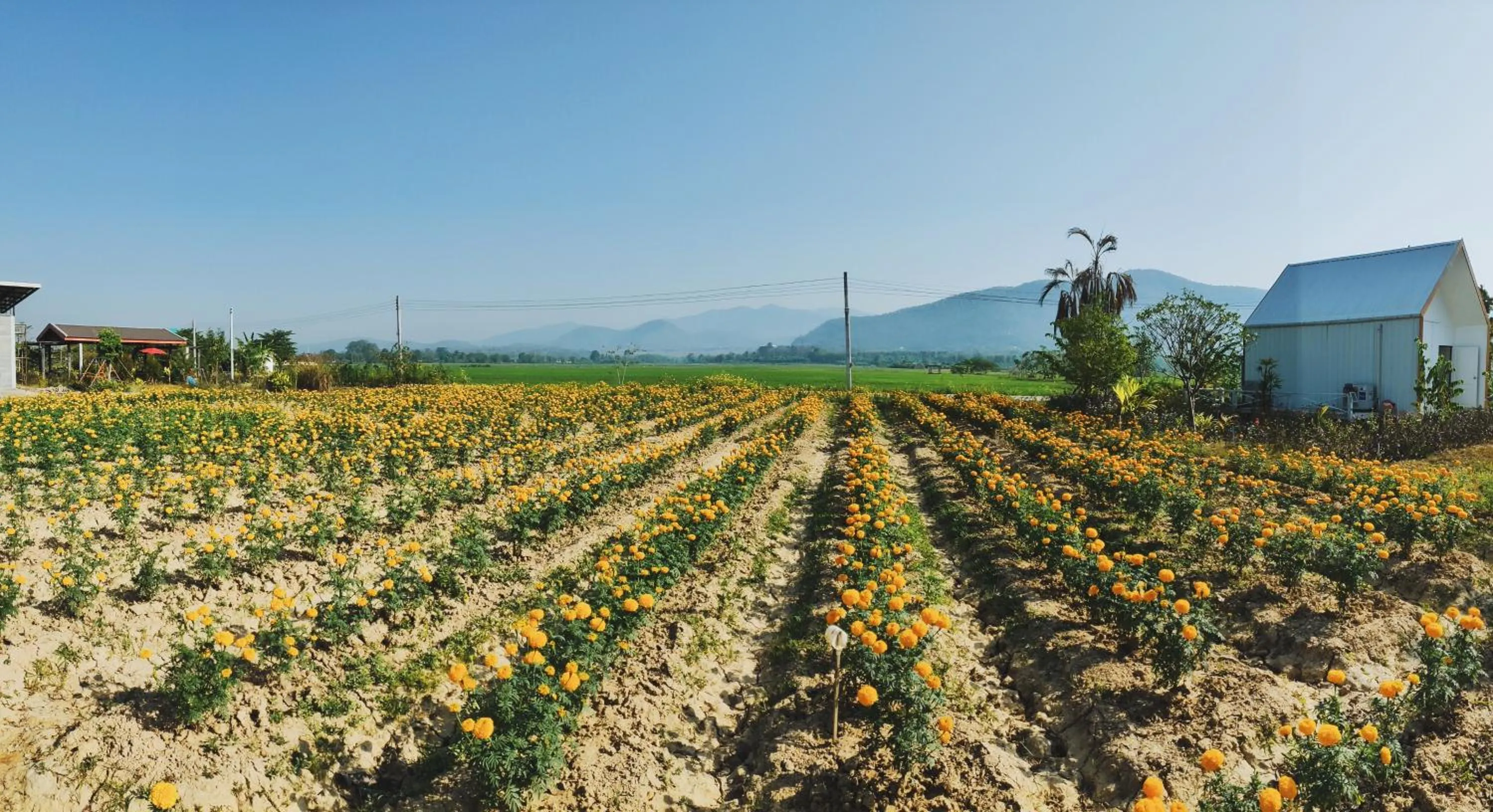 Santitham Home Farm Stay