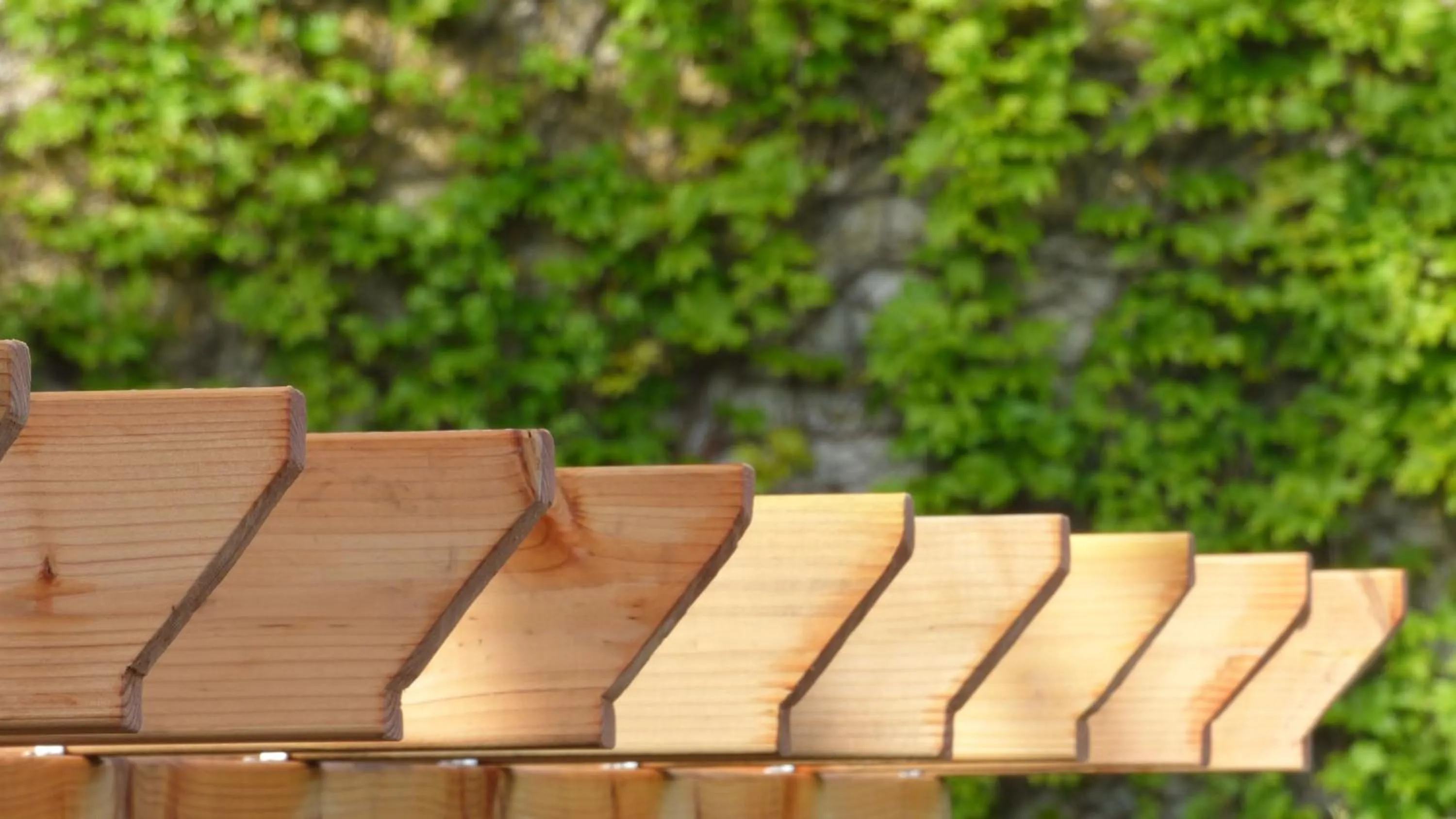Garden in Hôtel La Tonnellerie