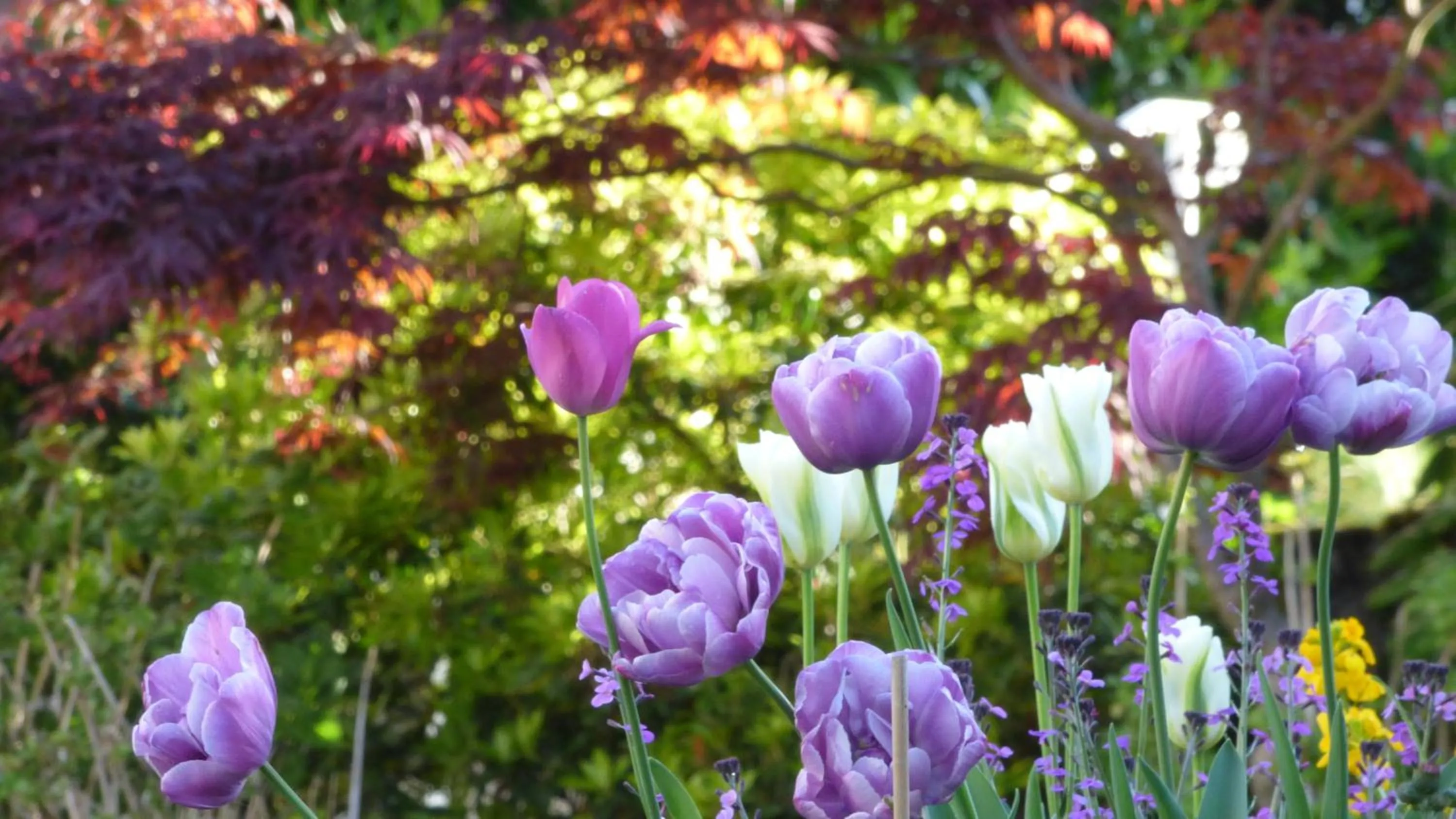 Spring in Hôtel La Tonnellerie