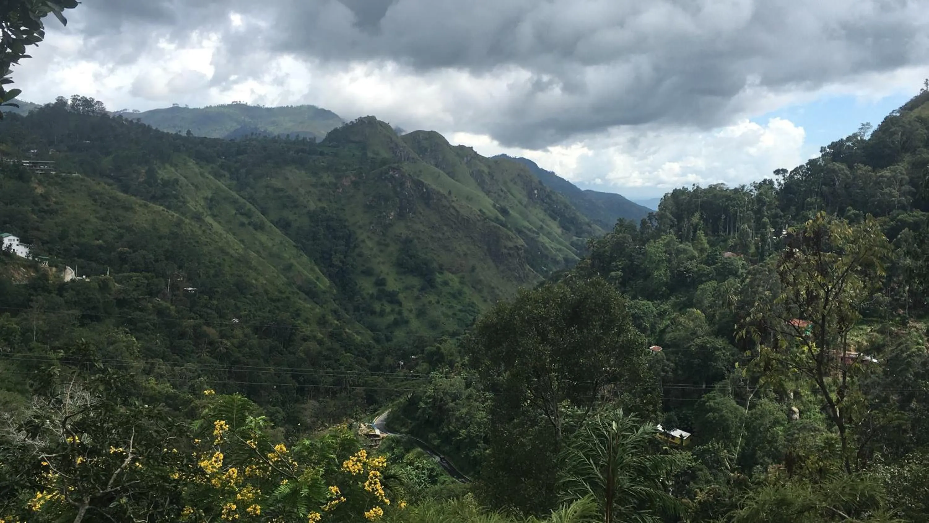 Natural landscape in Ella Alpine Resort