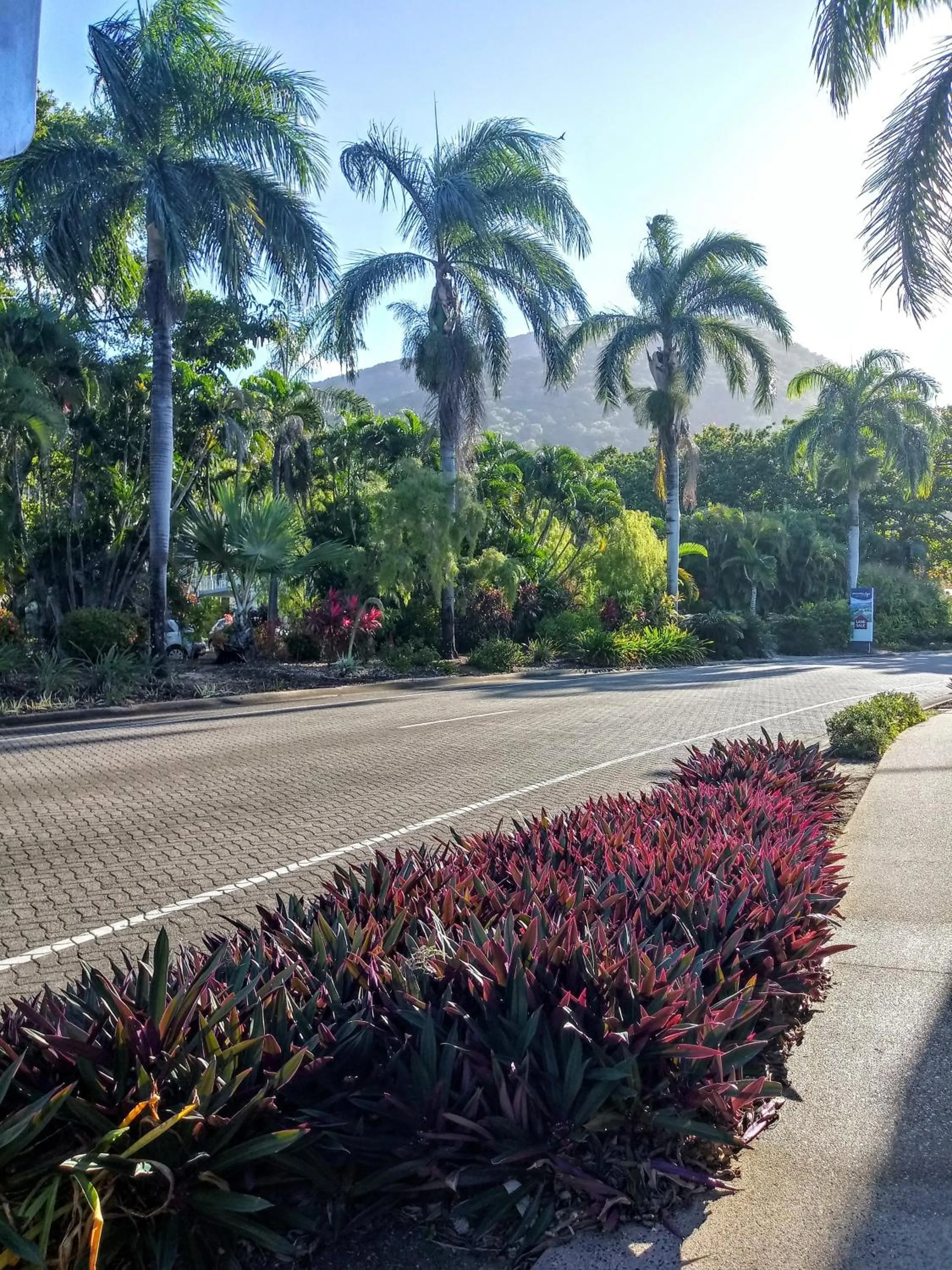 Garden in Paradise in the Tropics