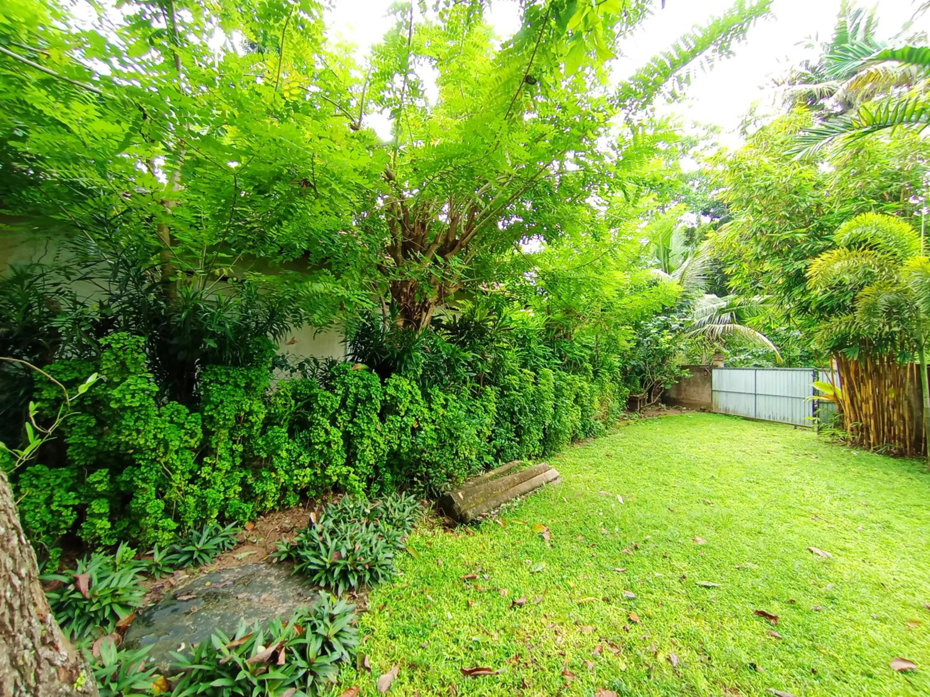 Villa Agrico and Surf Guest