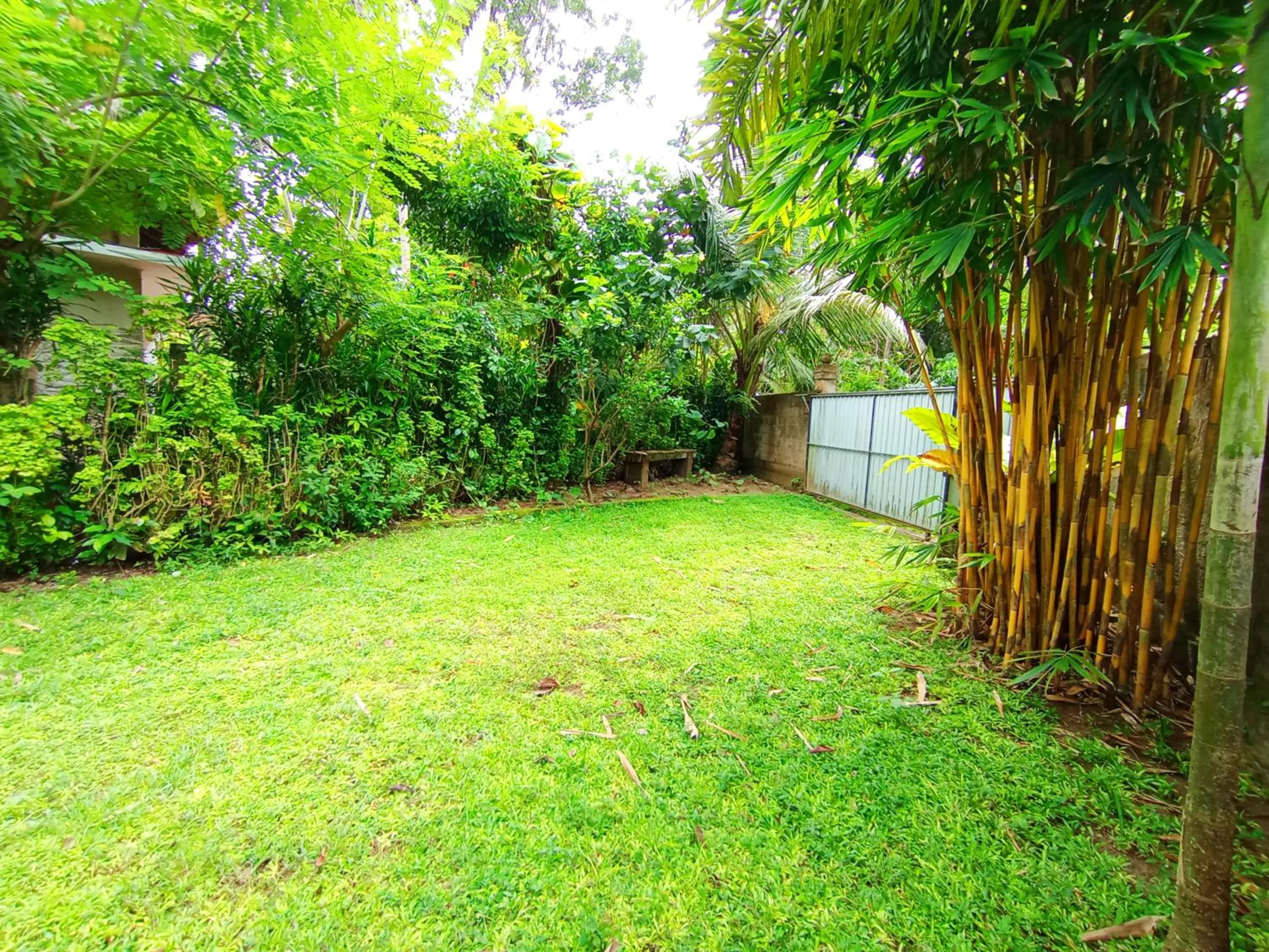 Villa Agrico and Surf Guest