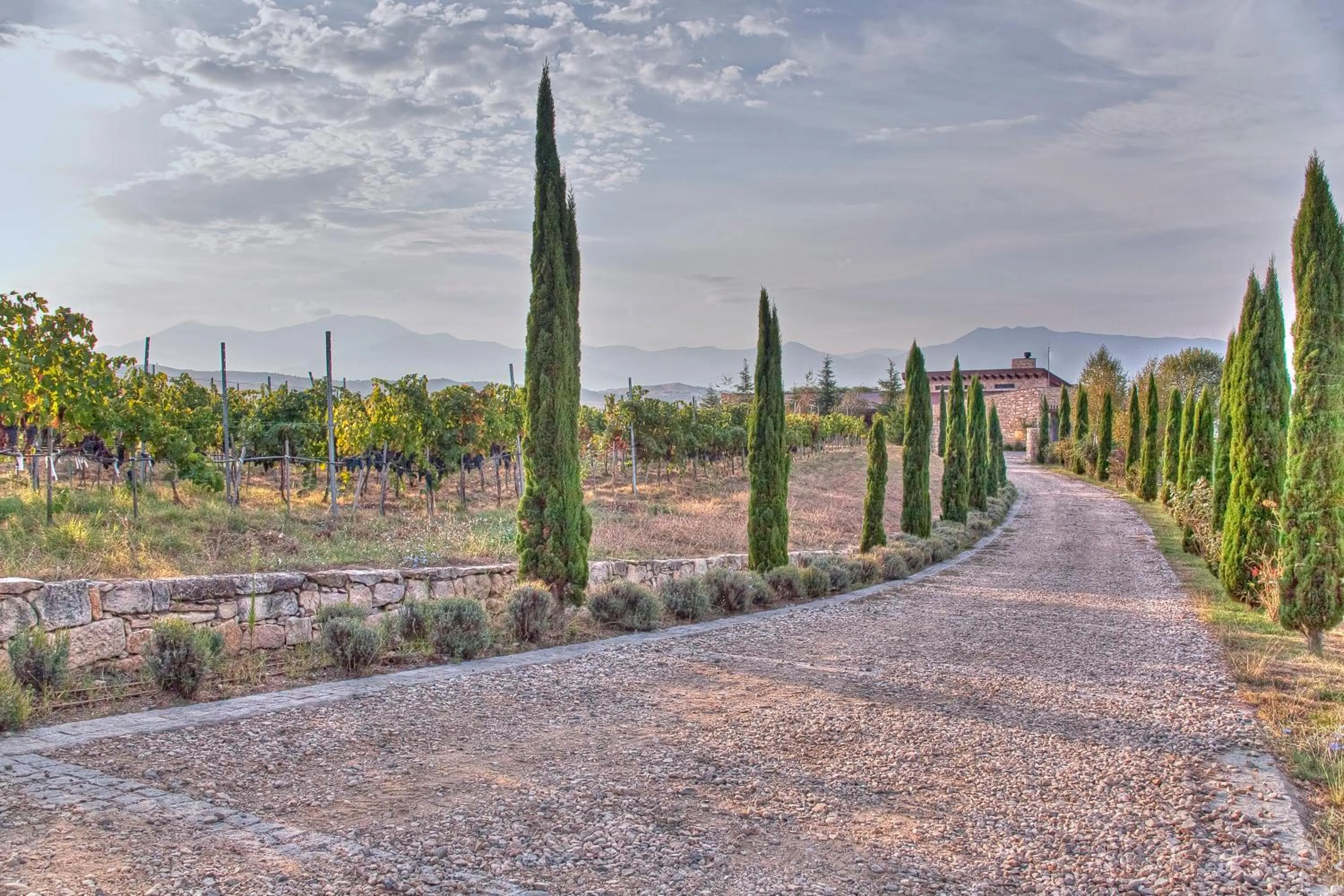 Natural landscape in Zornitza Family Estate Relais & Chateaux