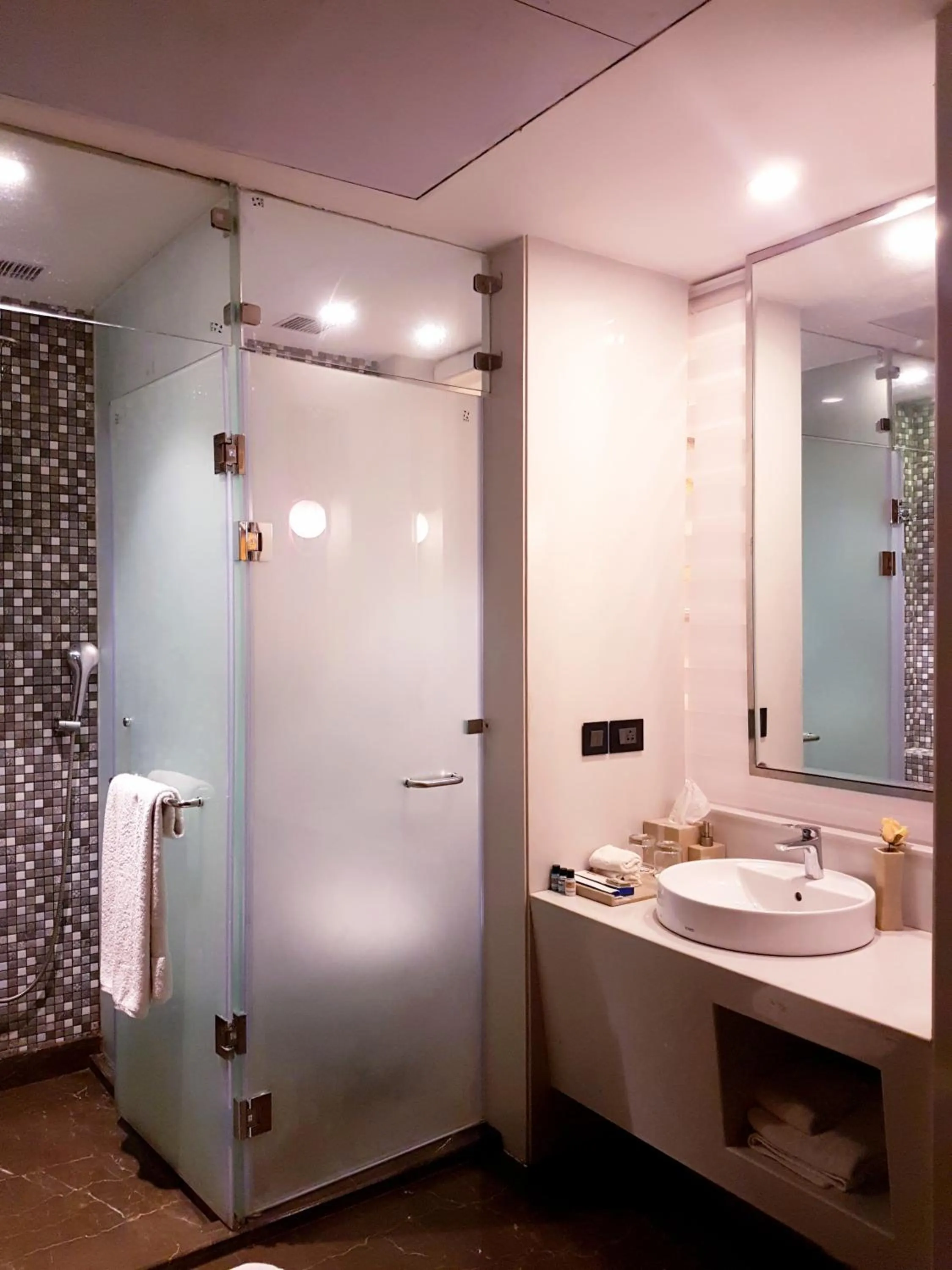 Bathroom in Pal Heights Mantra