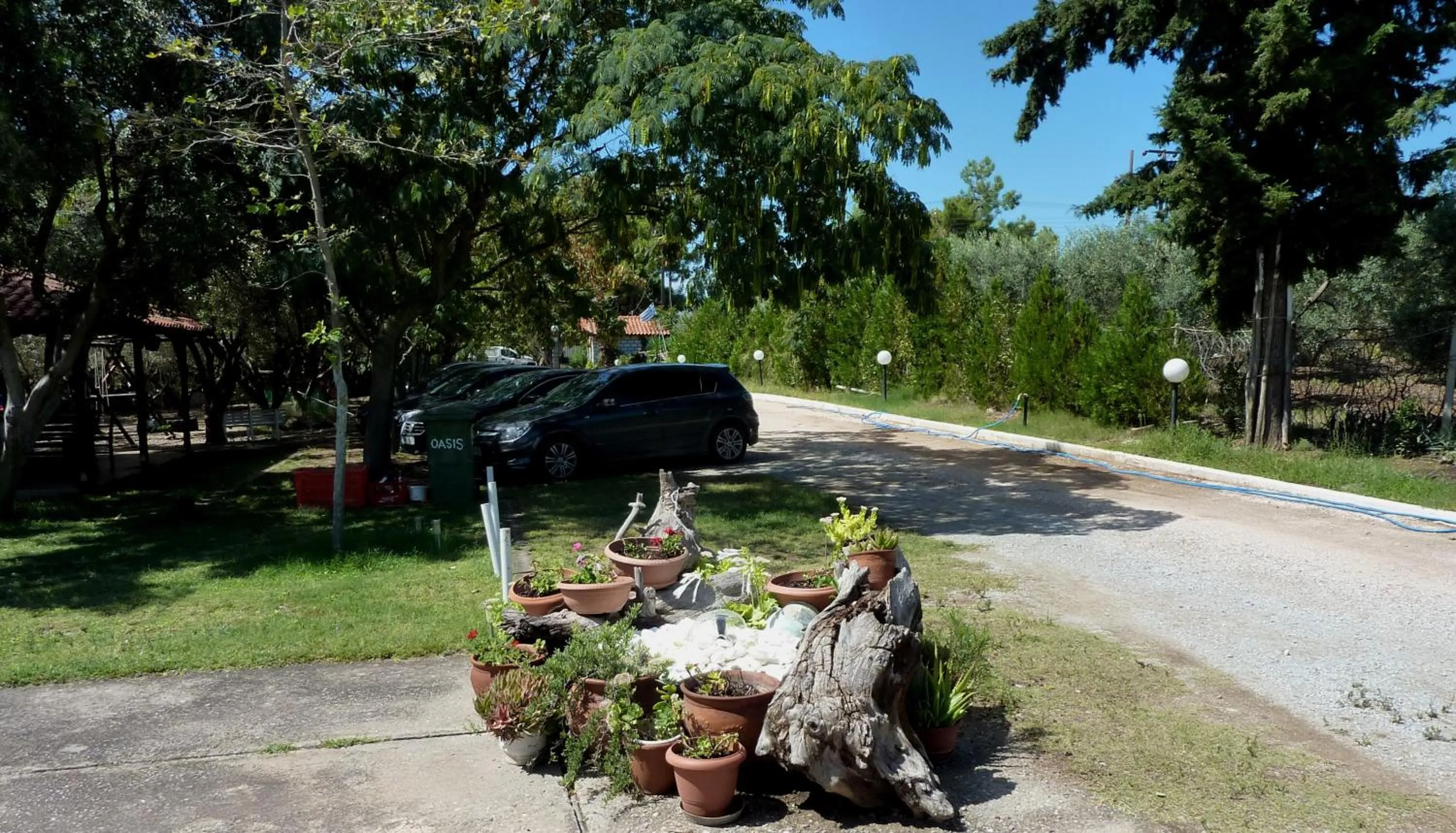 Garden in Villa Oasis