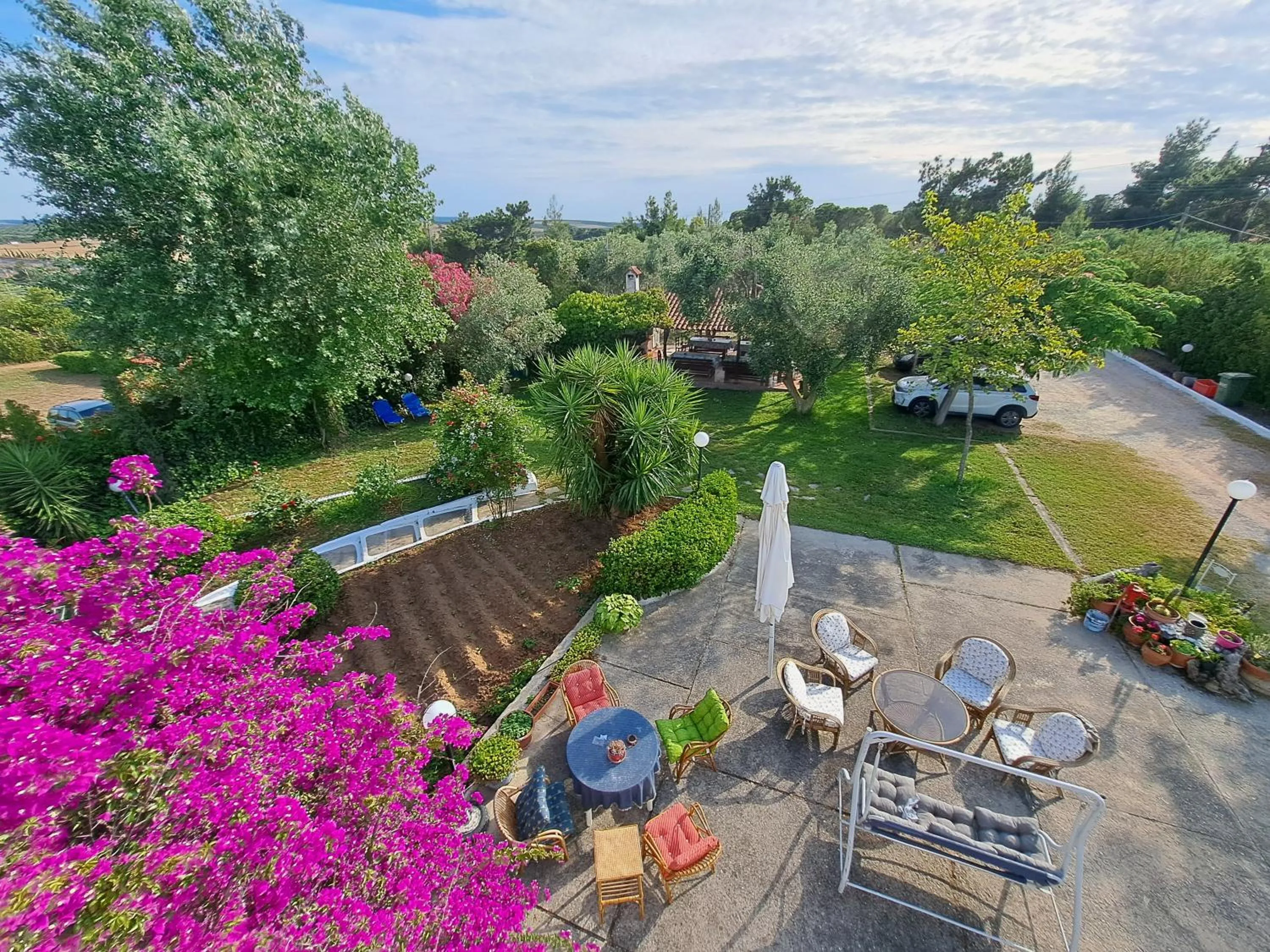 Garden in Villa Oasis