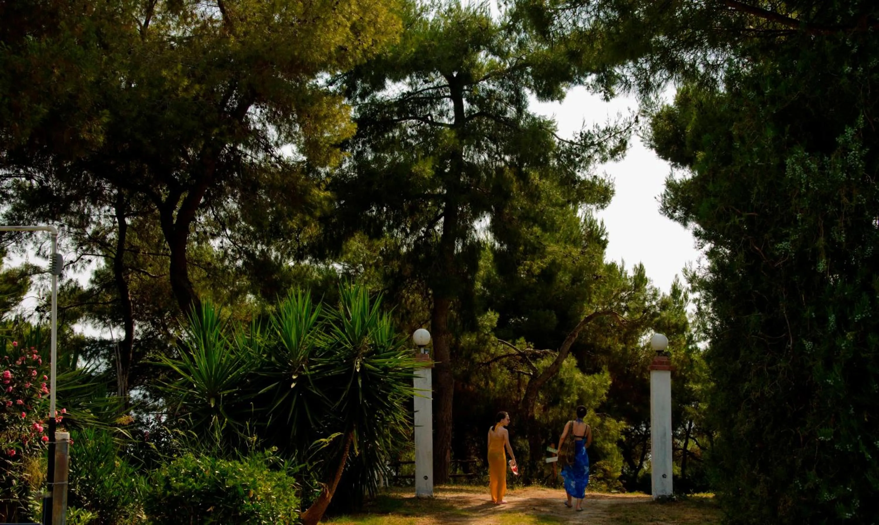 Garden view in Villa Oasis