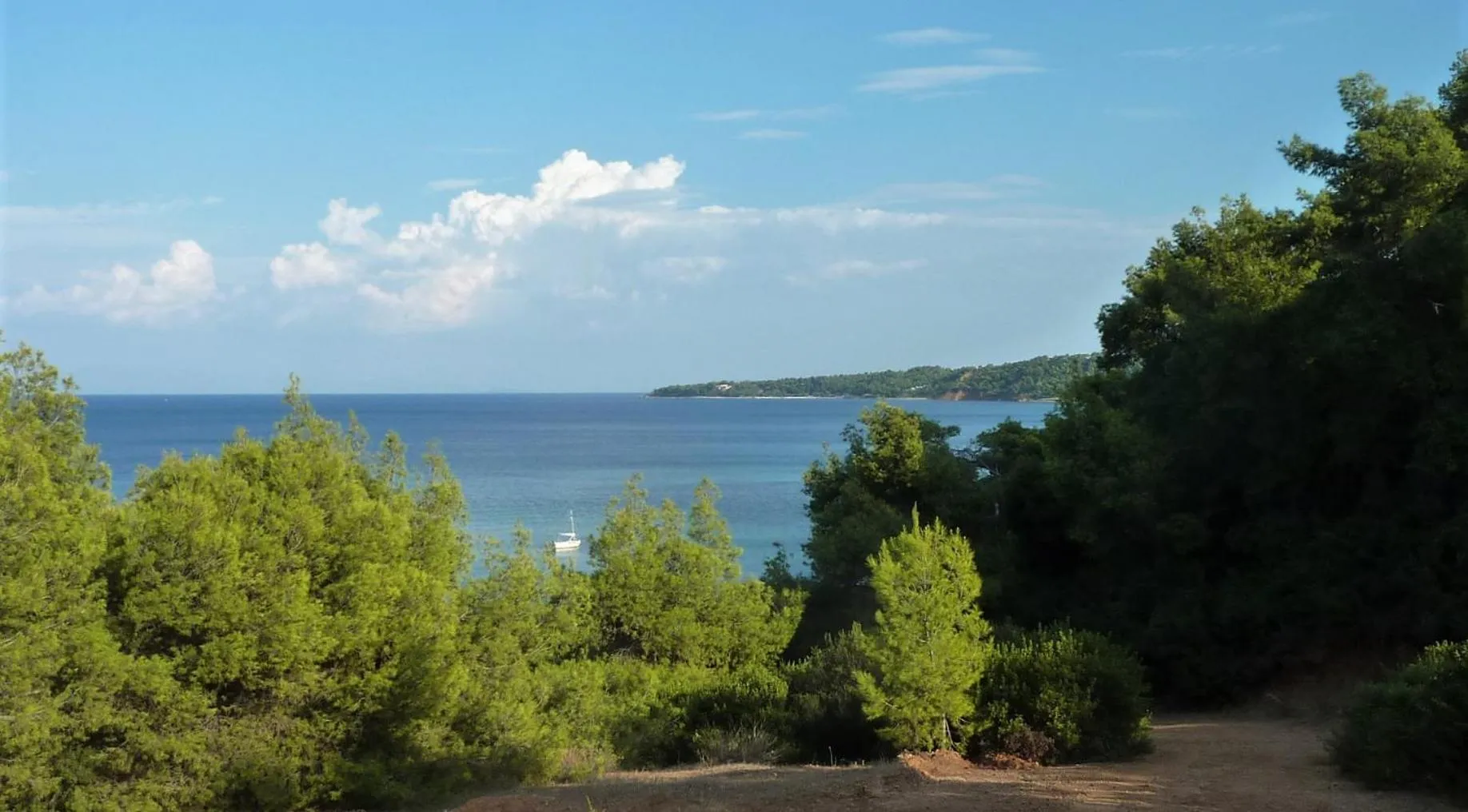 Sea view in Villa Oasis