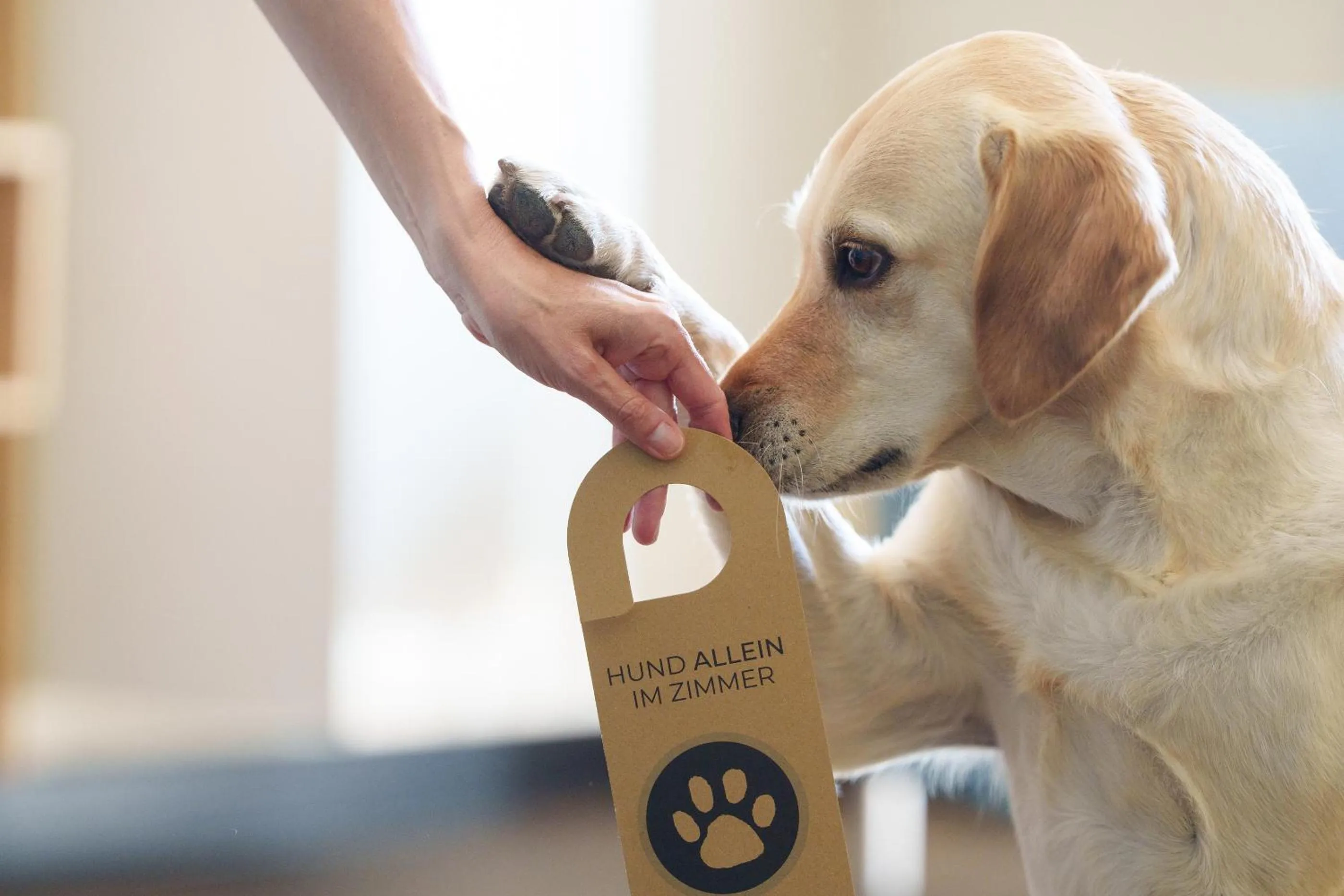 TV and multimedia in The Green Rostock Apartment Hotel