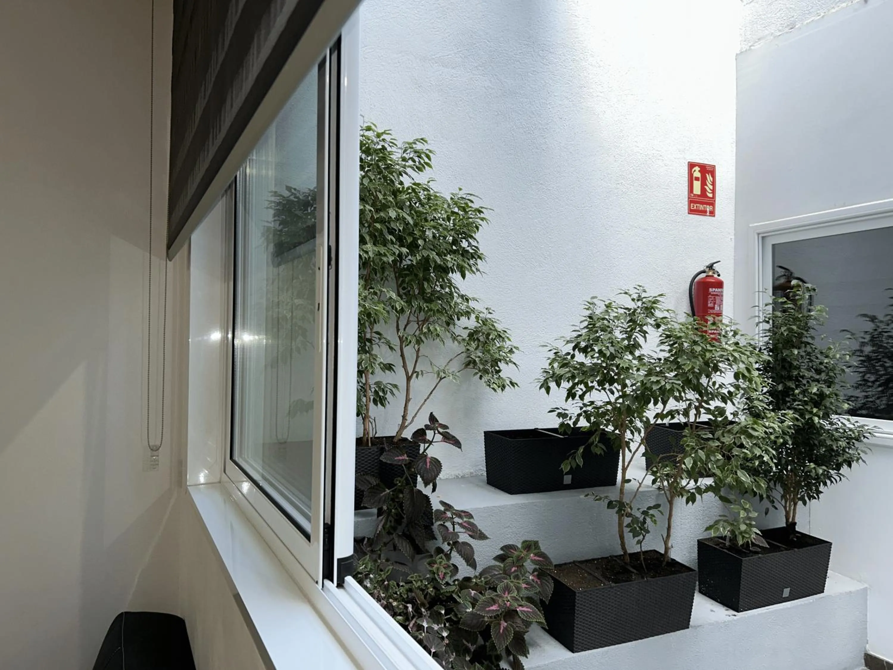 Property building in Apartahotel Baldiri