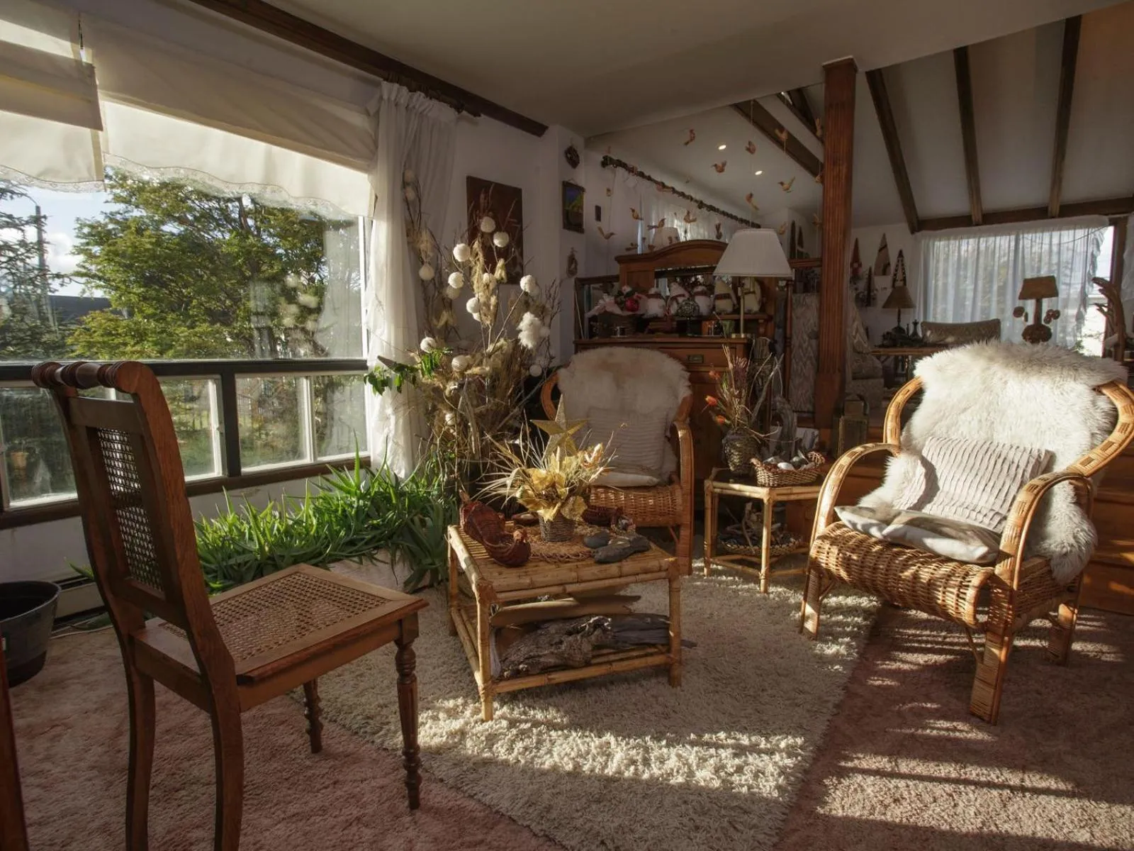 Living room in Sandy Point Hostal