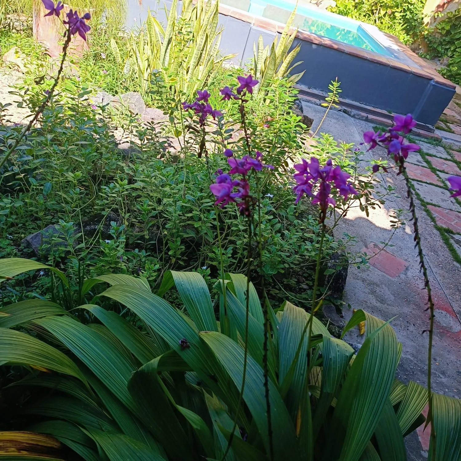 Garden view in CASA SINNING-año1637