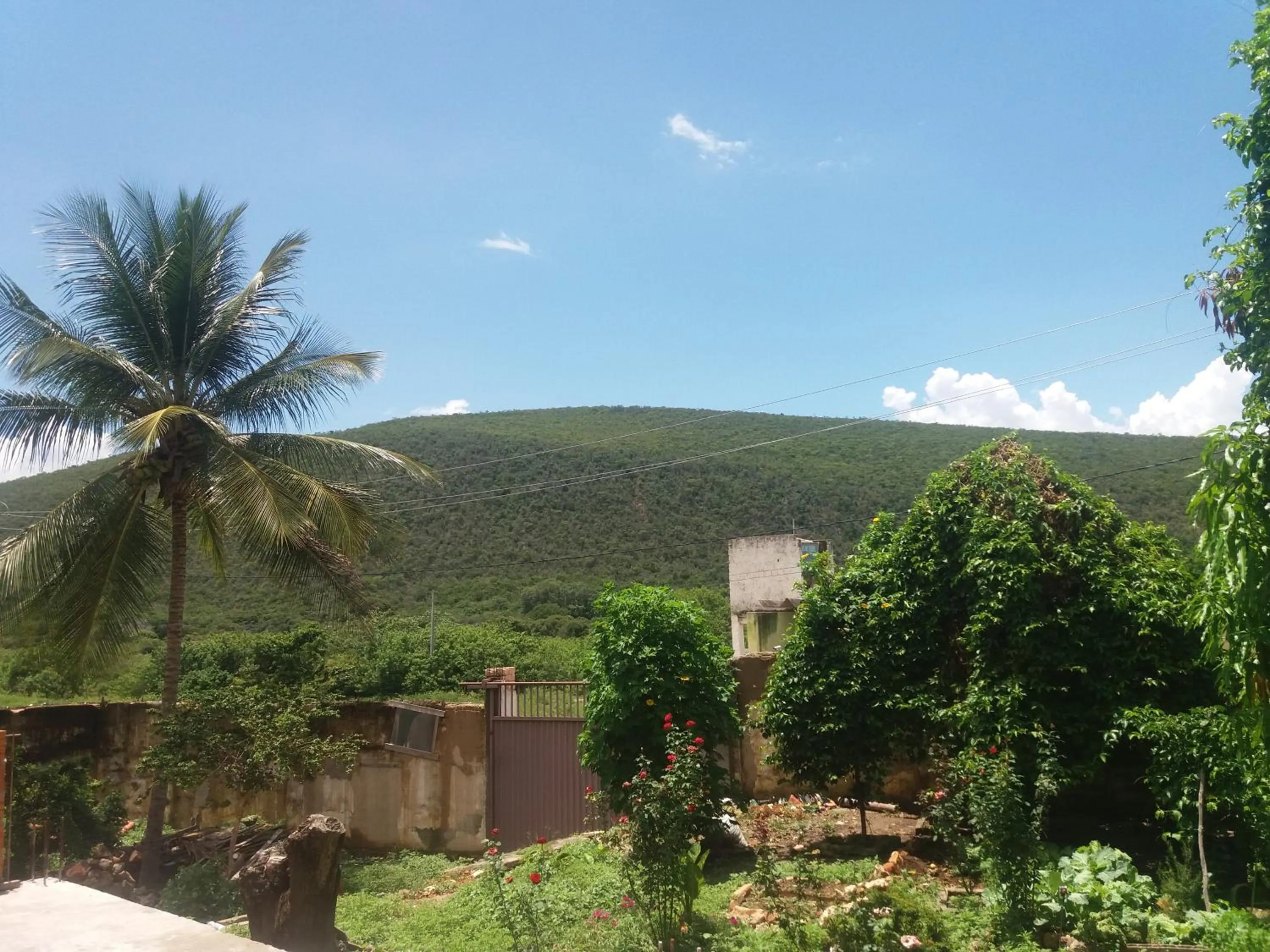 Family Suite - single occupancy in Hotel e Pousada O Casarão