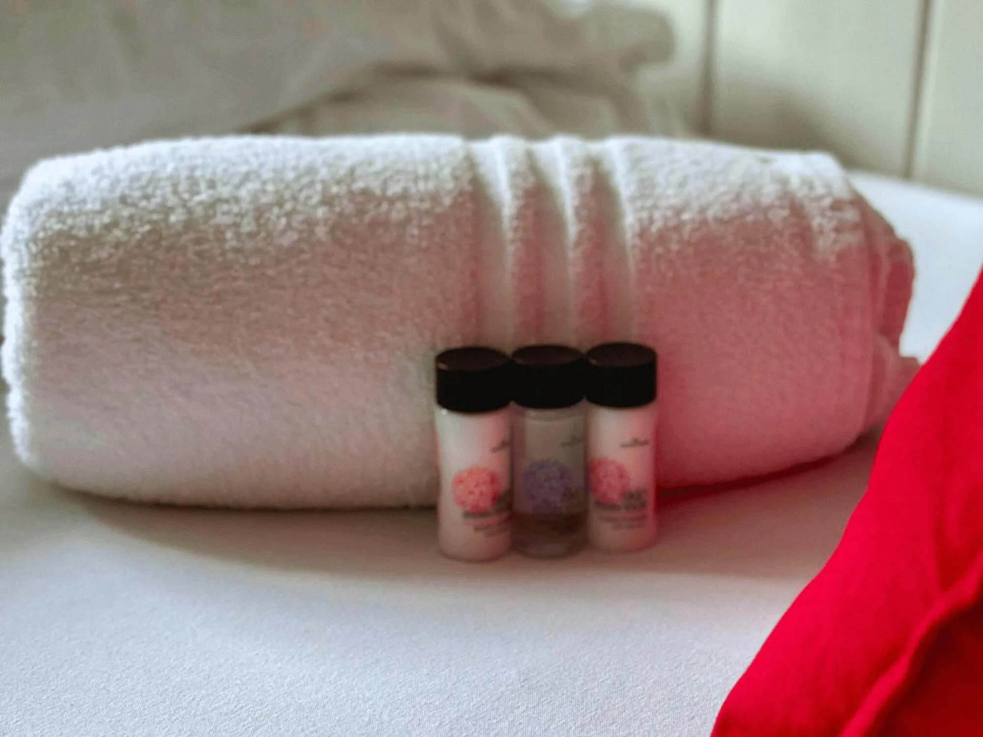 Toilet, Bed in Gardiner House Hostel