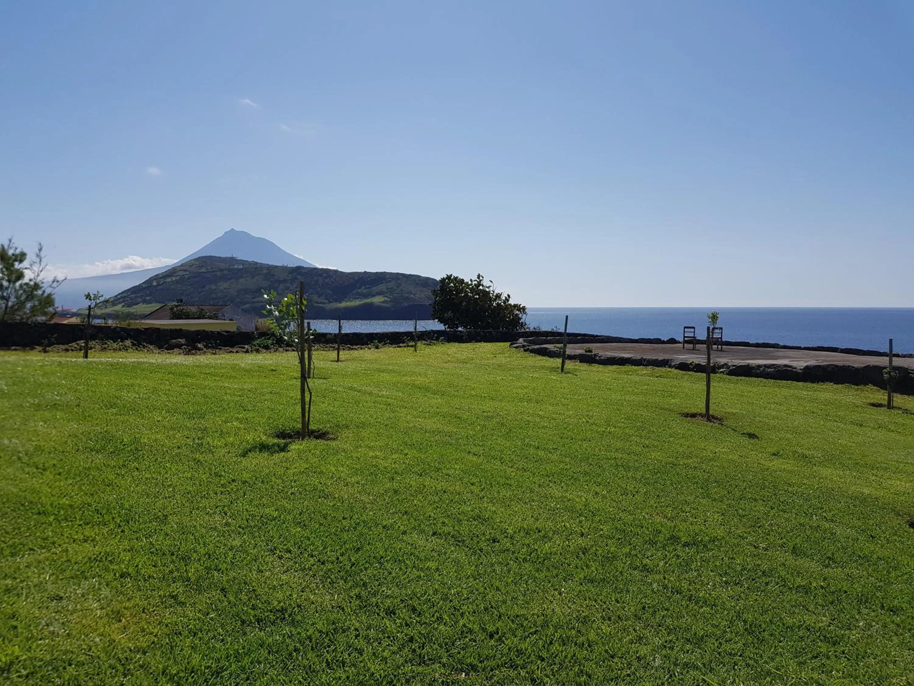 Garden in Lofts Azul Pastel