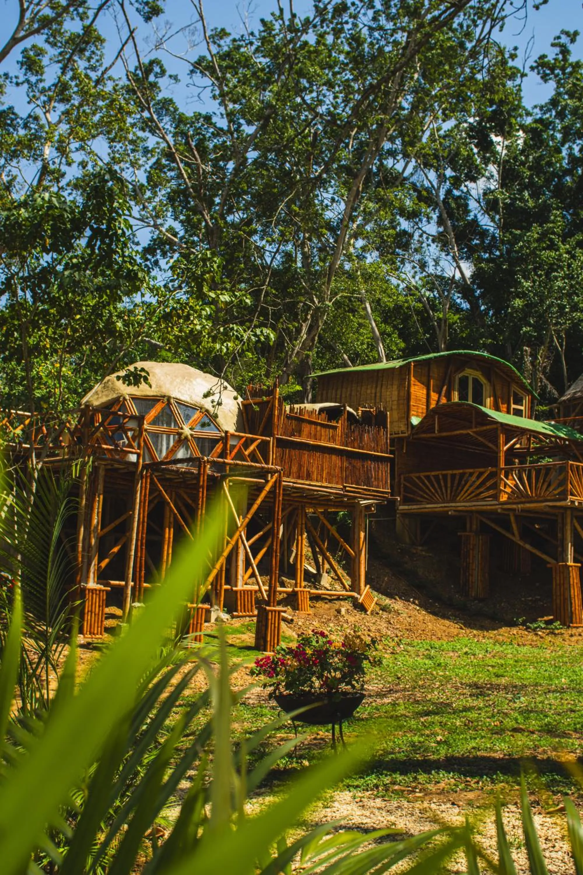 Natural landscape in Eco Hotel Villa Martha