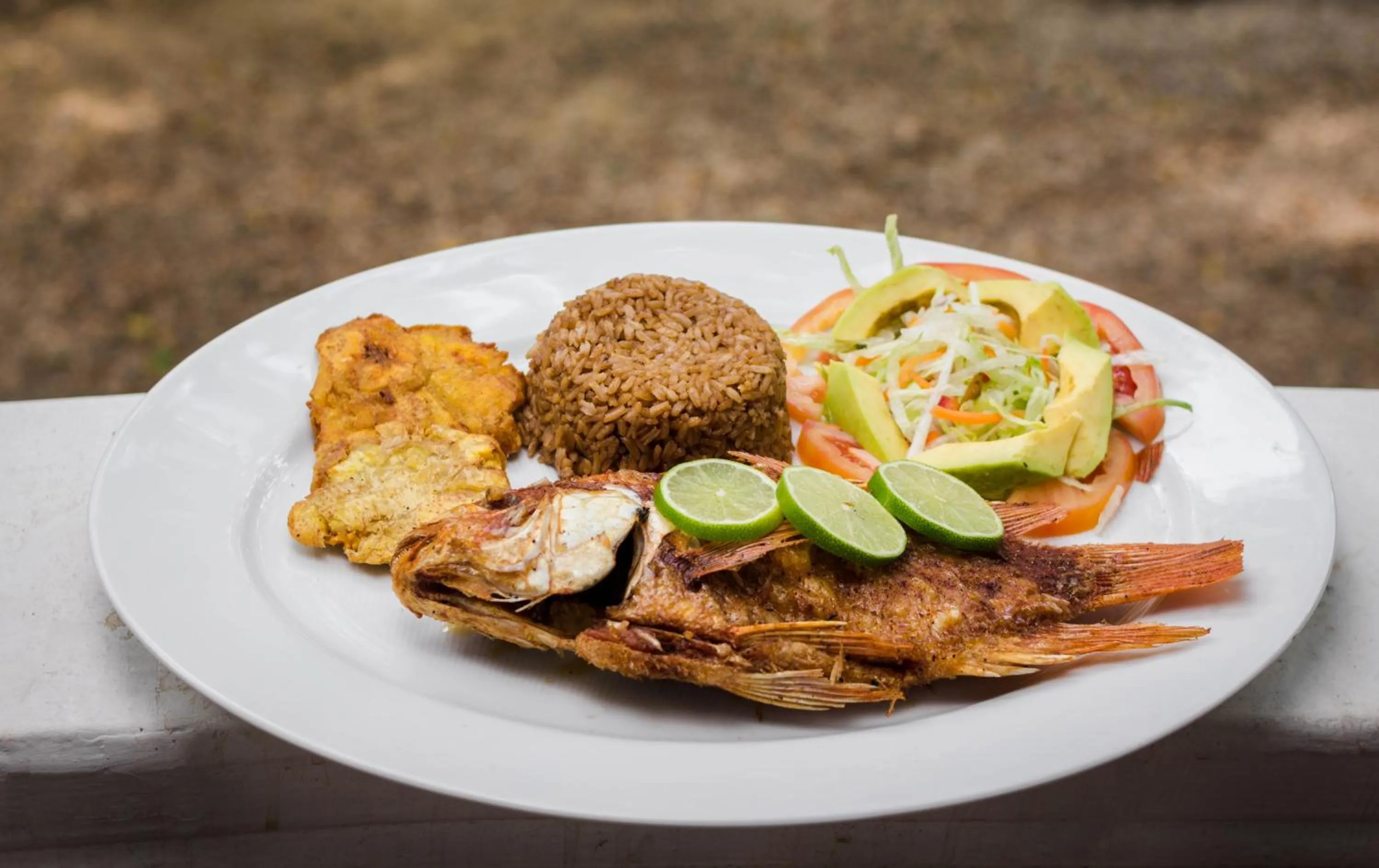 Food and drinks in Eco Hotel Villa Martha