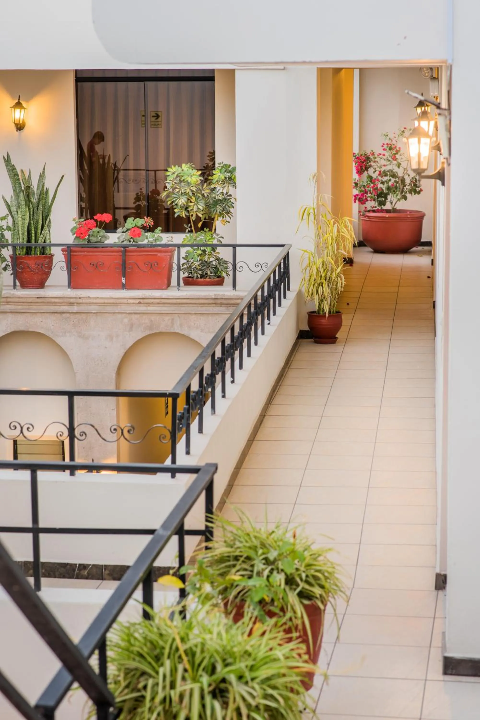 Natural landscape in Santa Marta Hotel