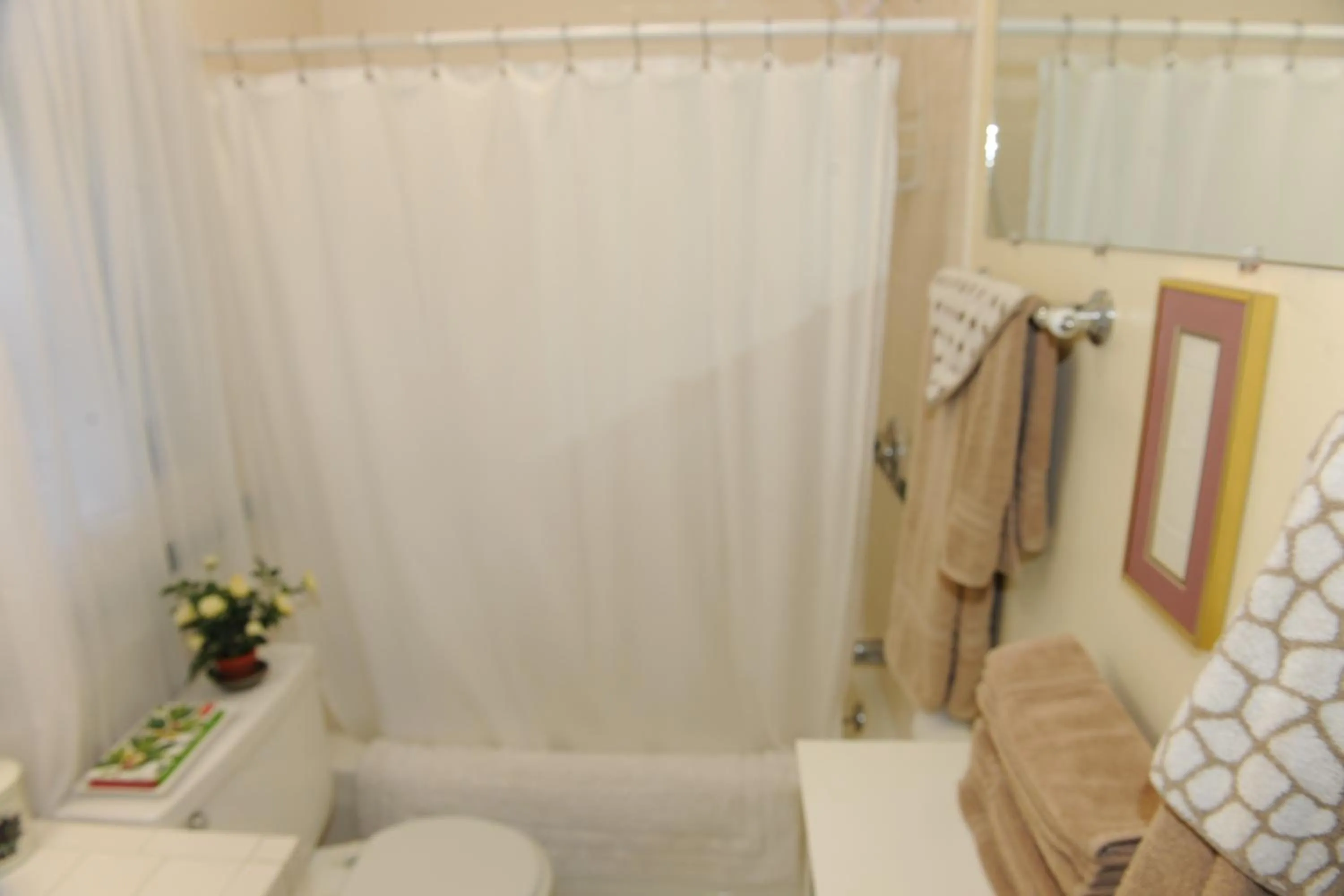 Shower in The Giraffe