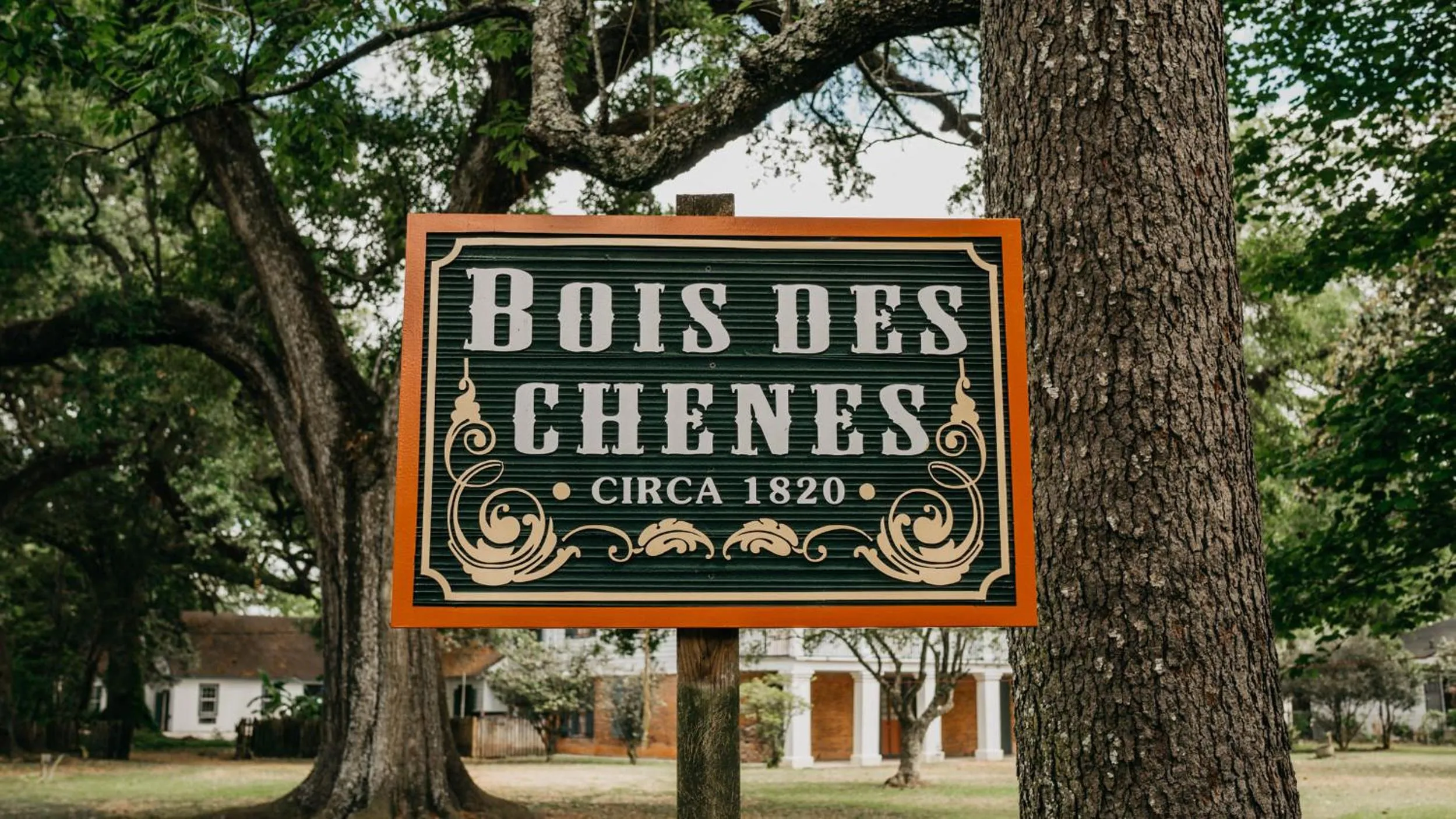 Maison Mouton Bed & Breakfast