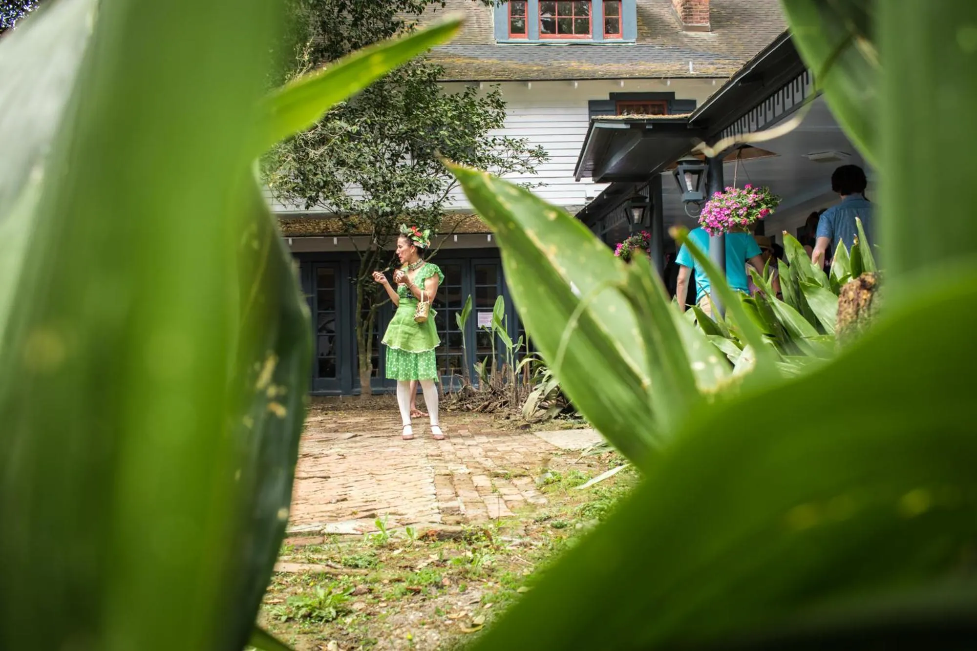 Entertainment in Maison Mouton Bed & Breakfast